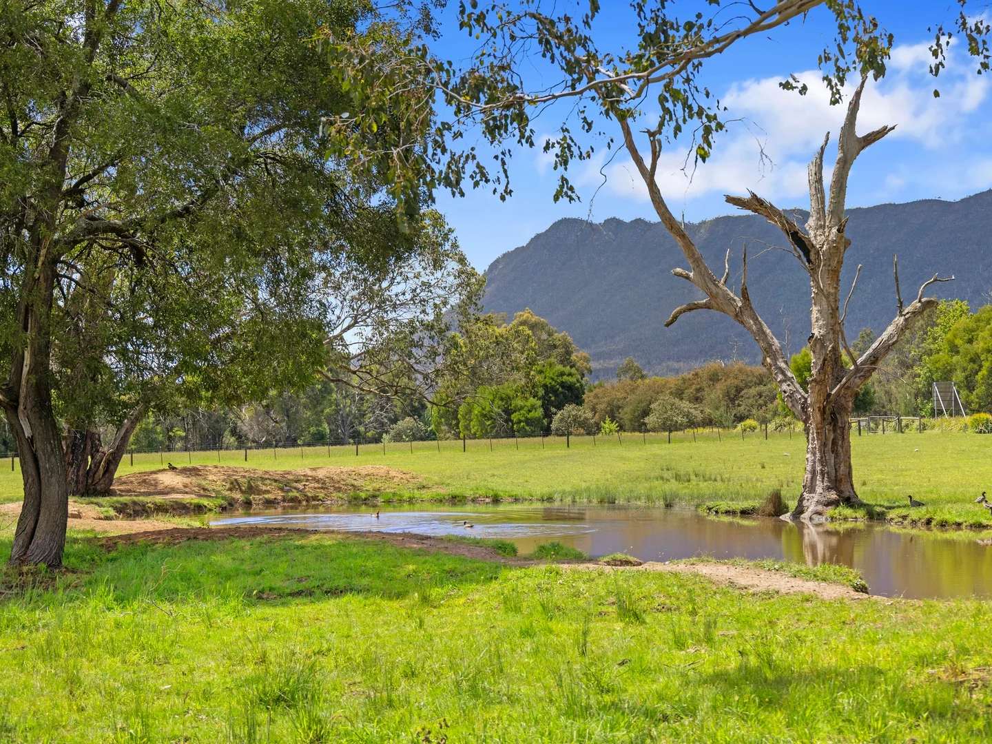 Additional image 8 of 2339 Maroondah Highway, Buxton VIC 3711
