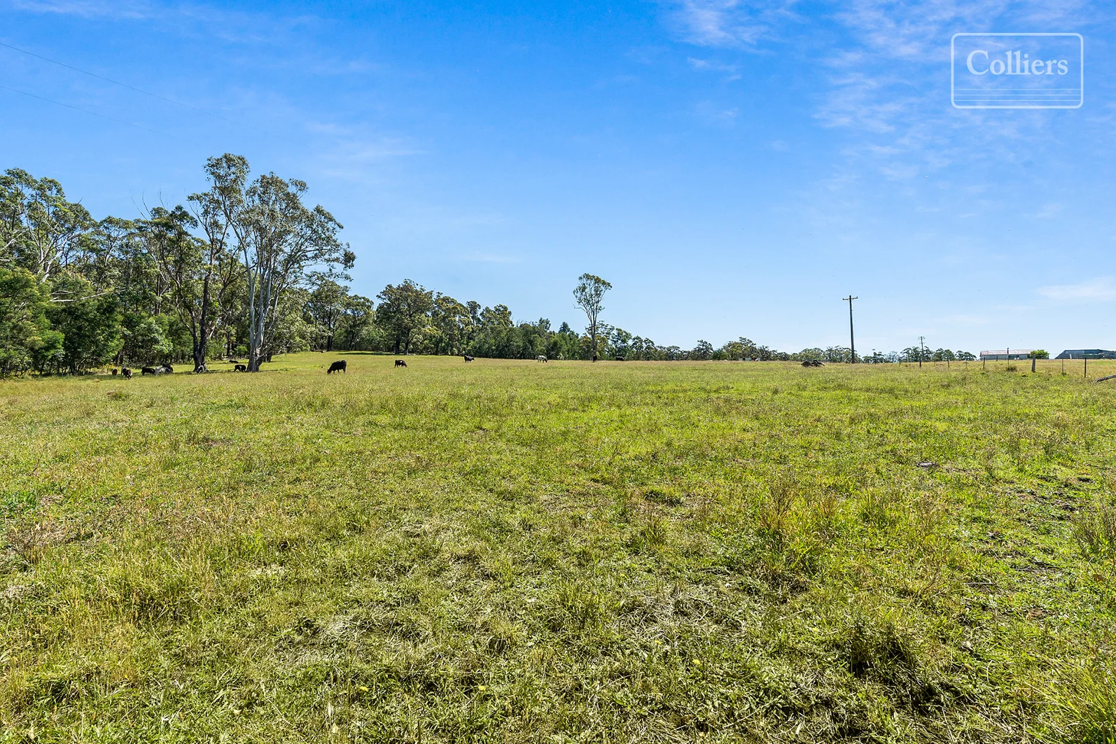 Additional image 13 of 227-229 Little Forest, Little Forest NSW 2538