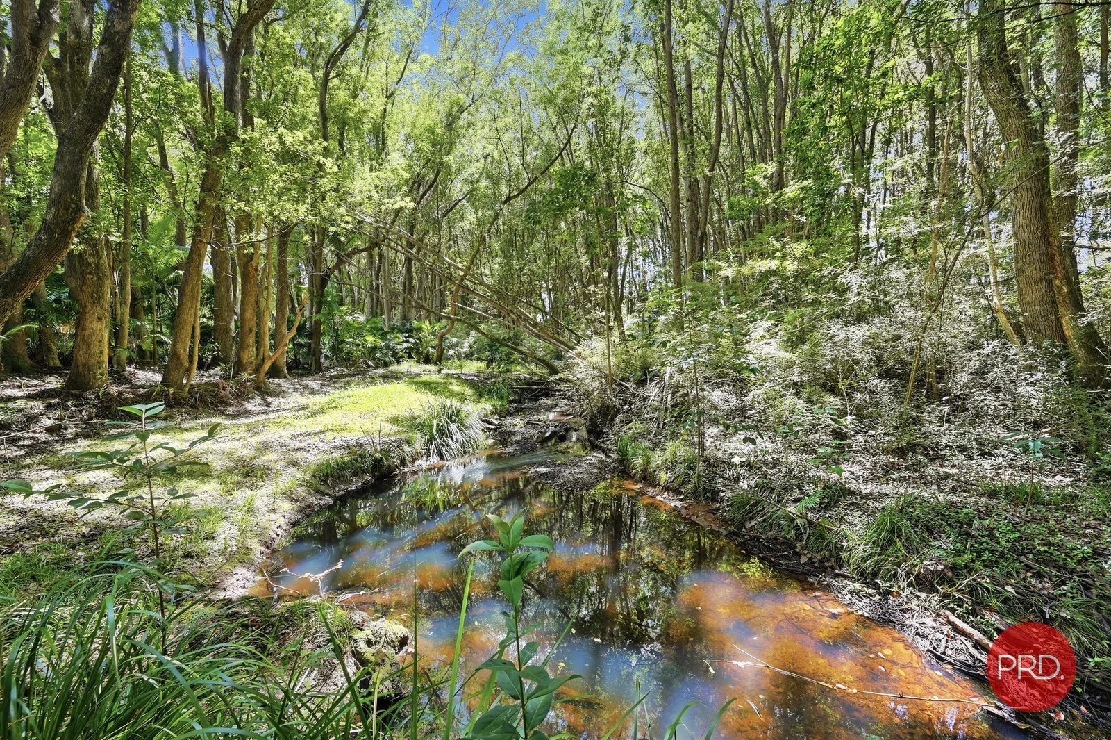 Additional image 36 of 20 Bakker Drive, Bonville NSW 2450