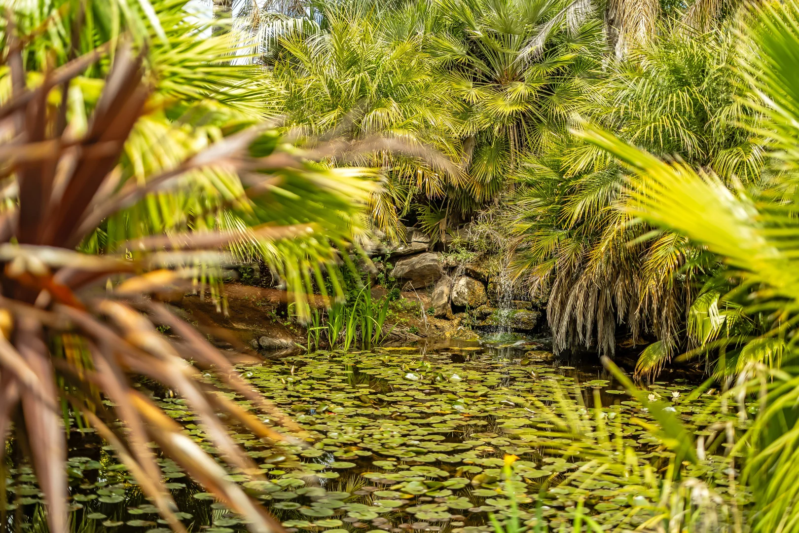 Additional image 53 of 726 Langhorne Creek Road, Belvidere SA 5255