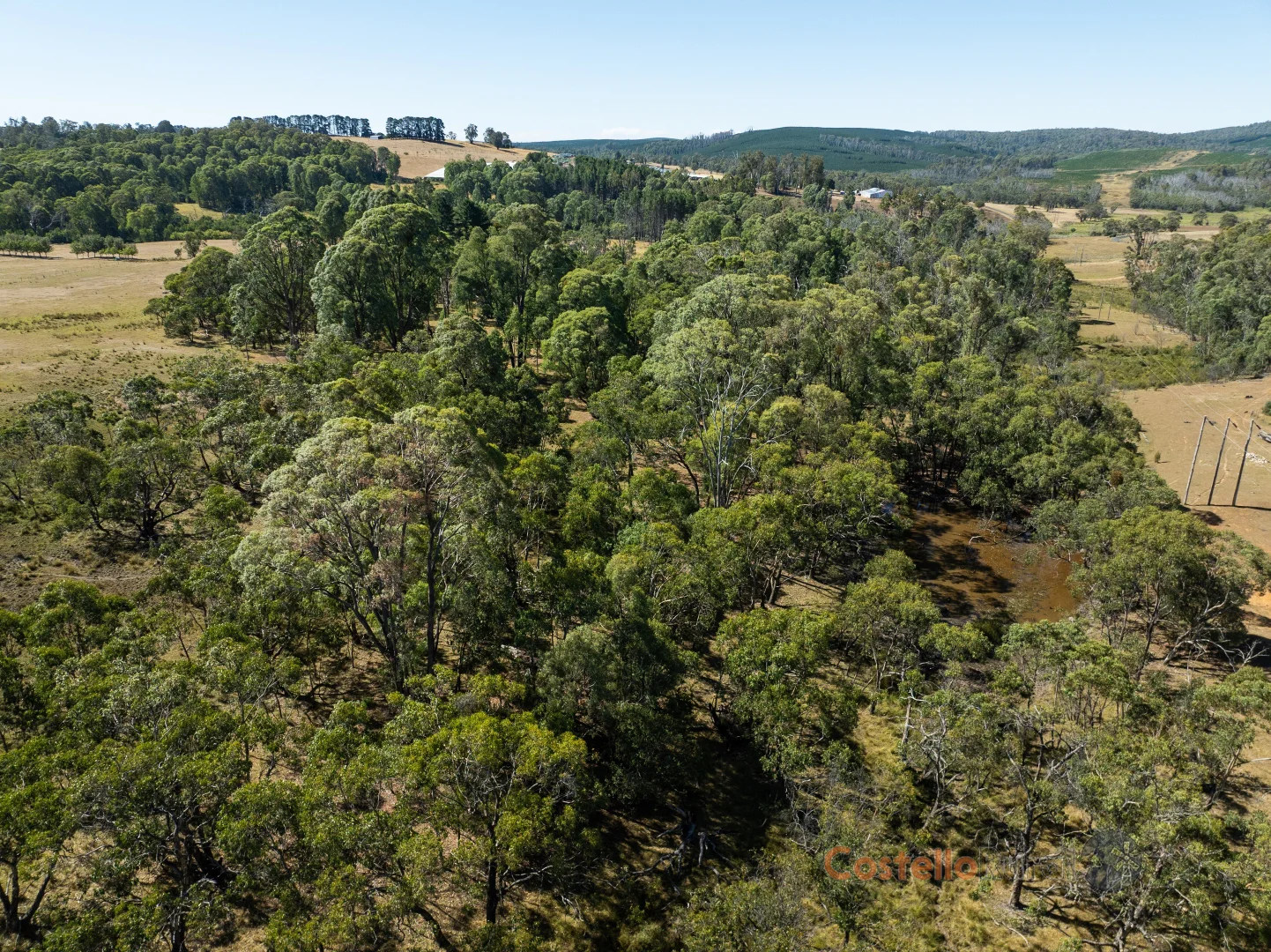 Additional image 8 of 195 Willigobung Road, Willigobung NSW 2653