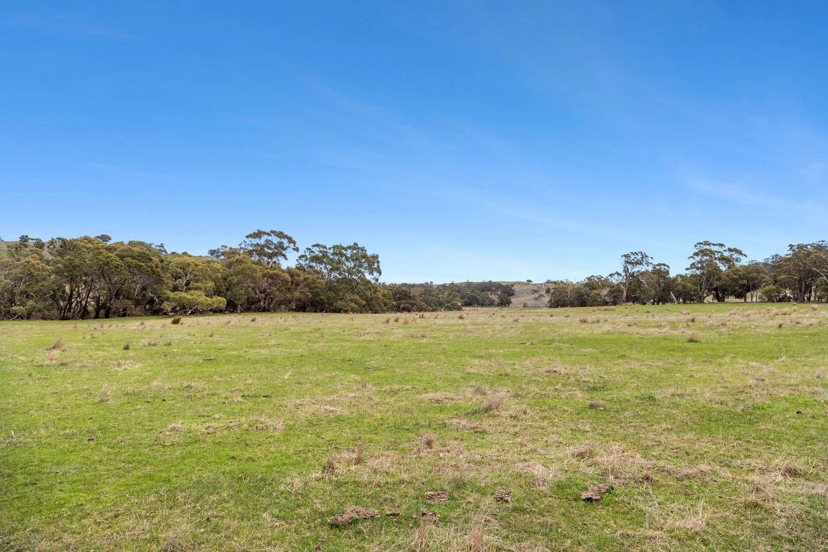 Additional image 6 of 335 Tooborac-Baynton Road, Tooborac VIC 3522