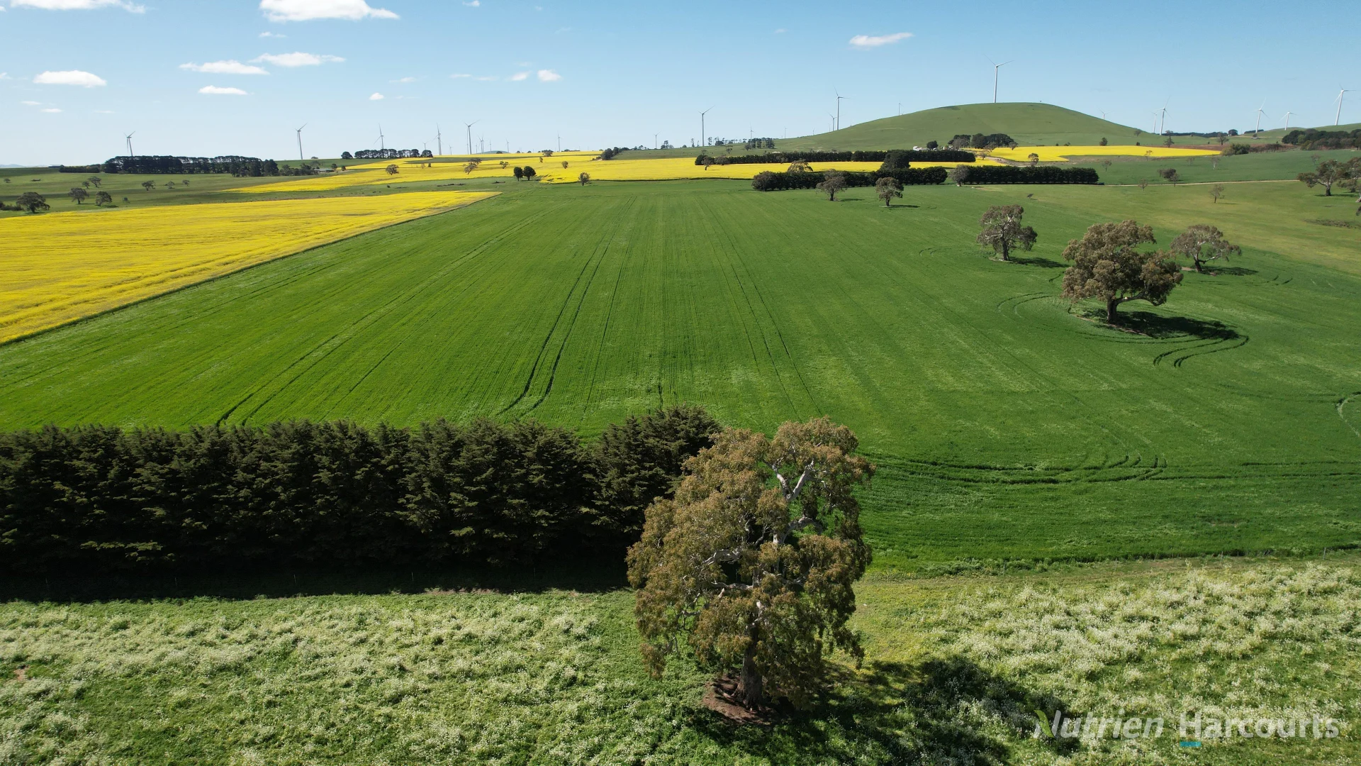 Additional image 12 of Lot 2 Beaufort-Waubra Road, Ercildoune VIC 3352