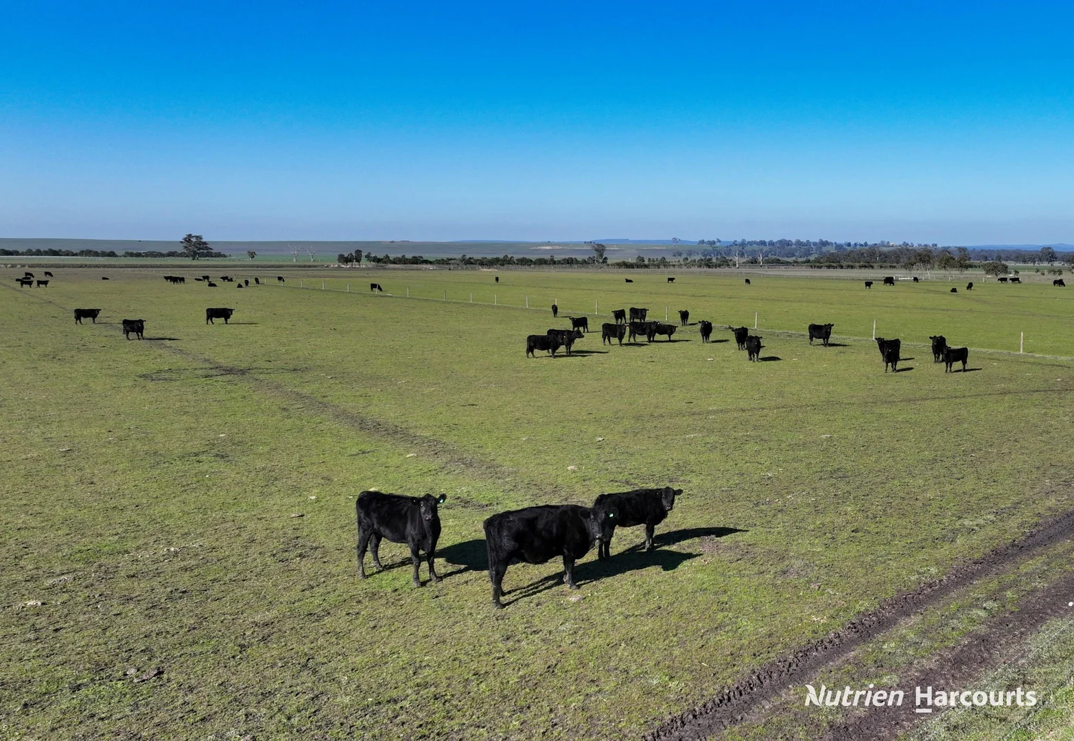 Additional image 12 of Part 371 Cairnbrook Road, Winnindoo VIC 3858