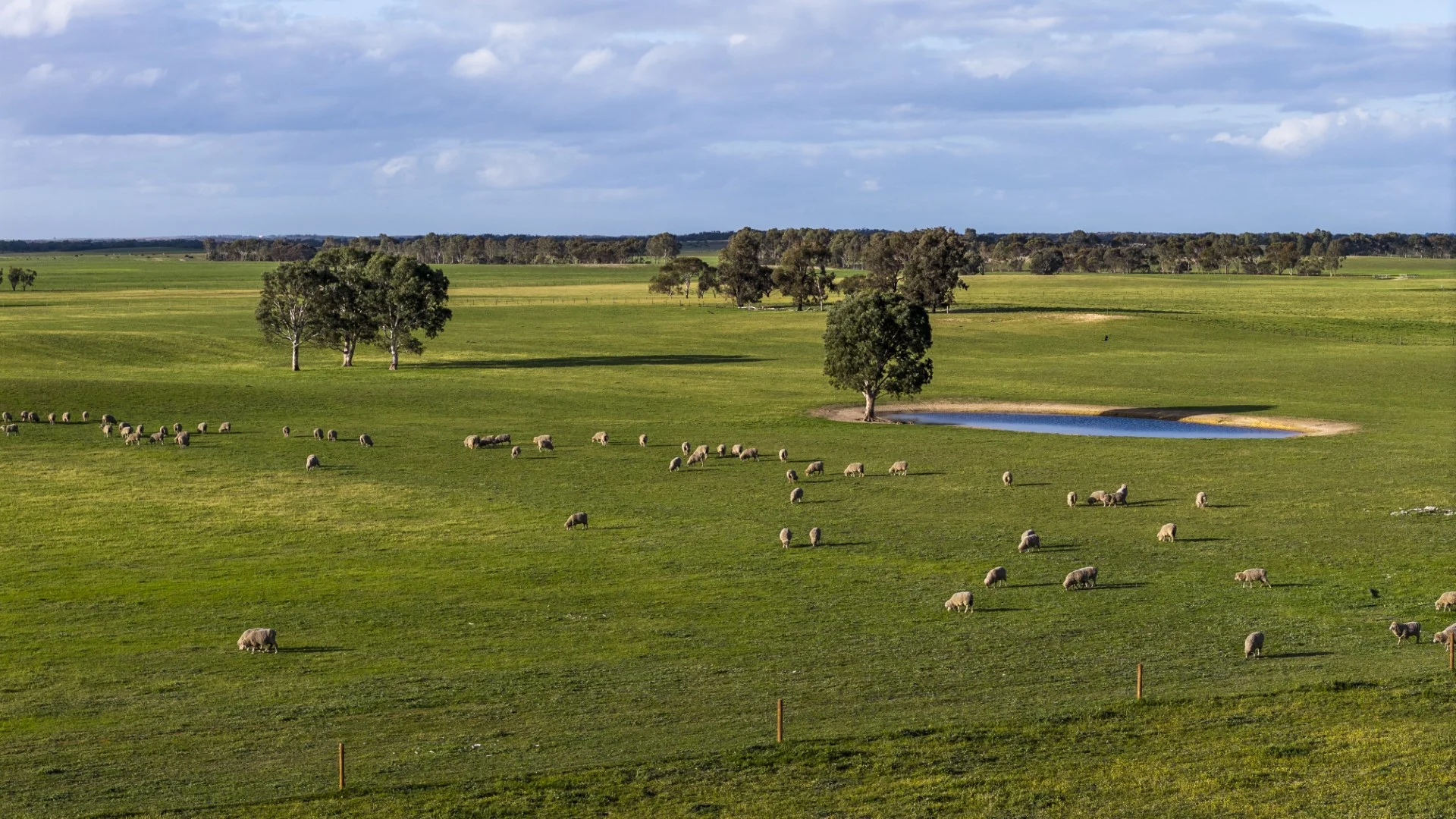 Additional image 30 of 1579 Chappel Road, Telopea Downs VIC 3420