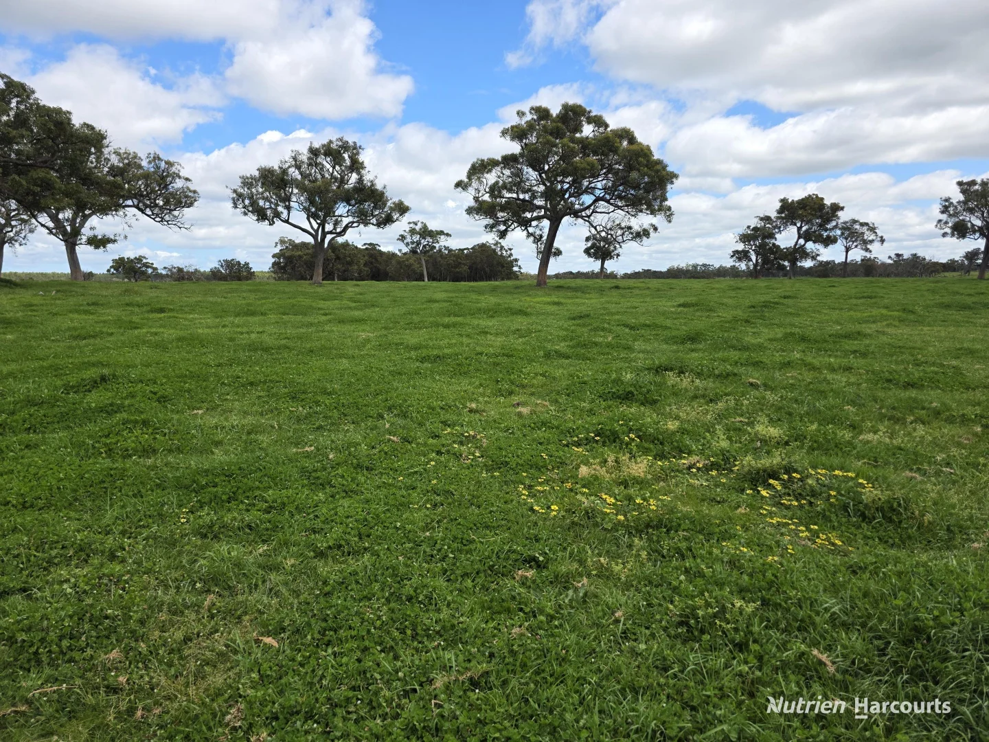 Additional image 24 of 1867 Chester Pass Road, Napier WA 6330