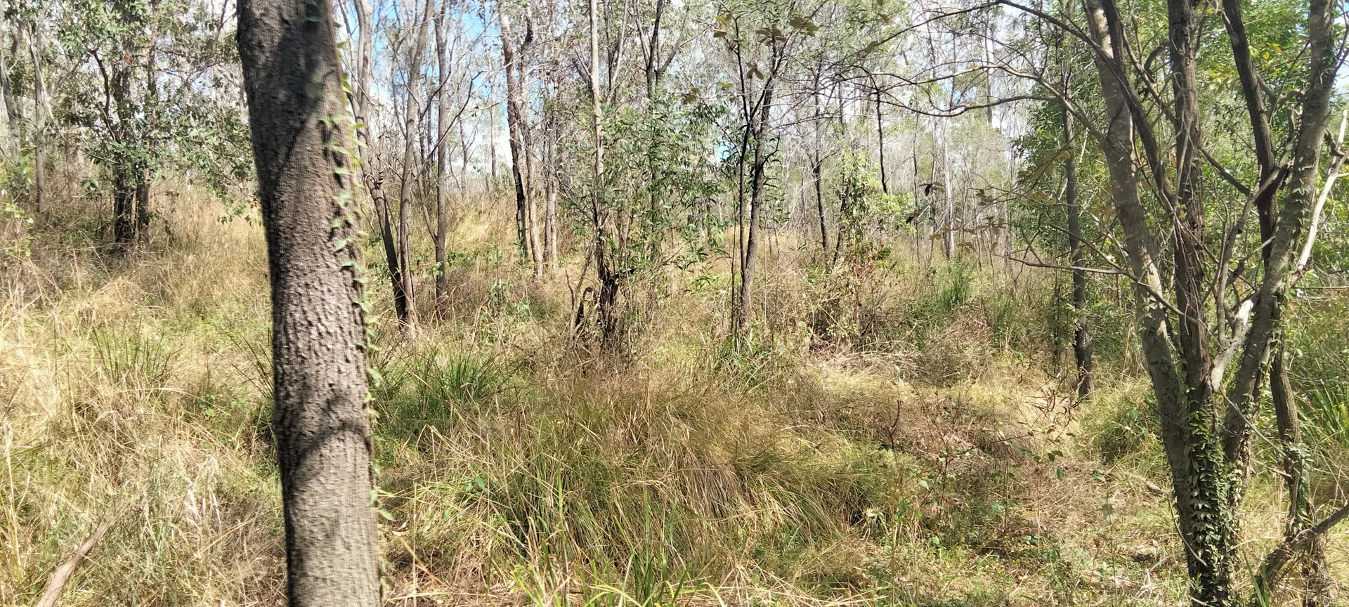 Additional image 10 of 3359 Lowmead Road, Lowmead QLD 4676