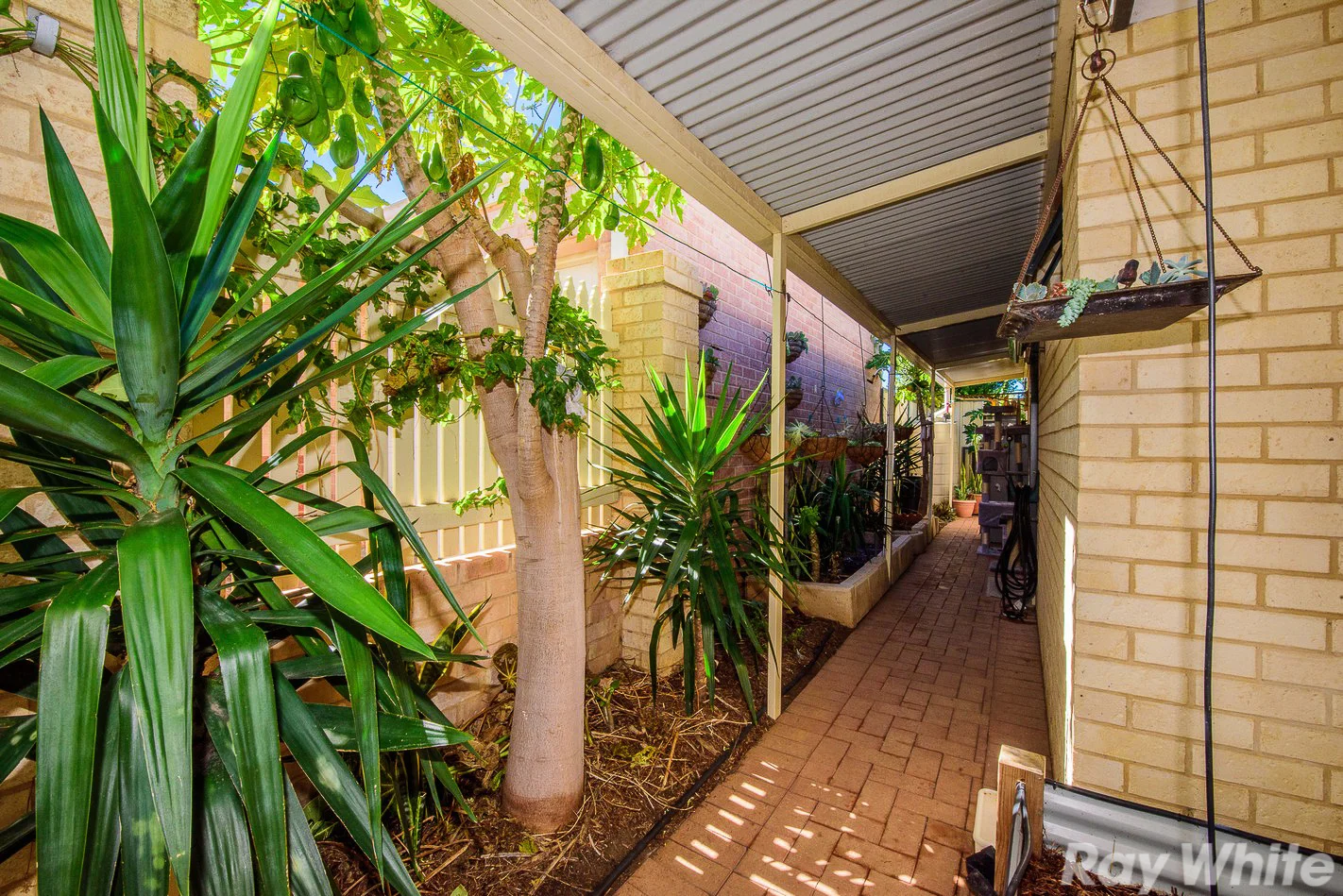 Additional image 15 of 3/9 Pollard Street, West End WA 6530