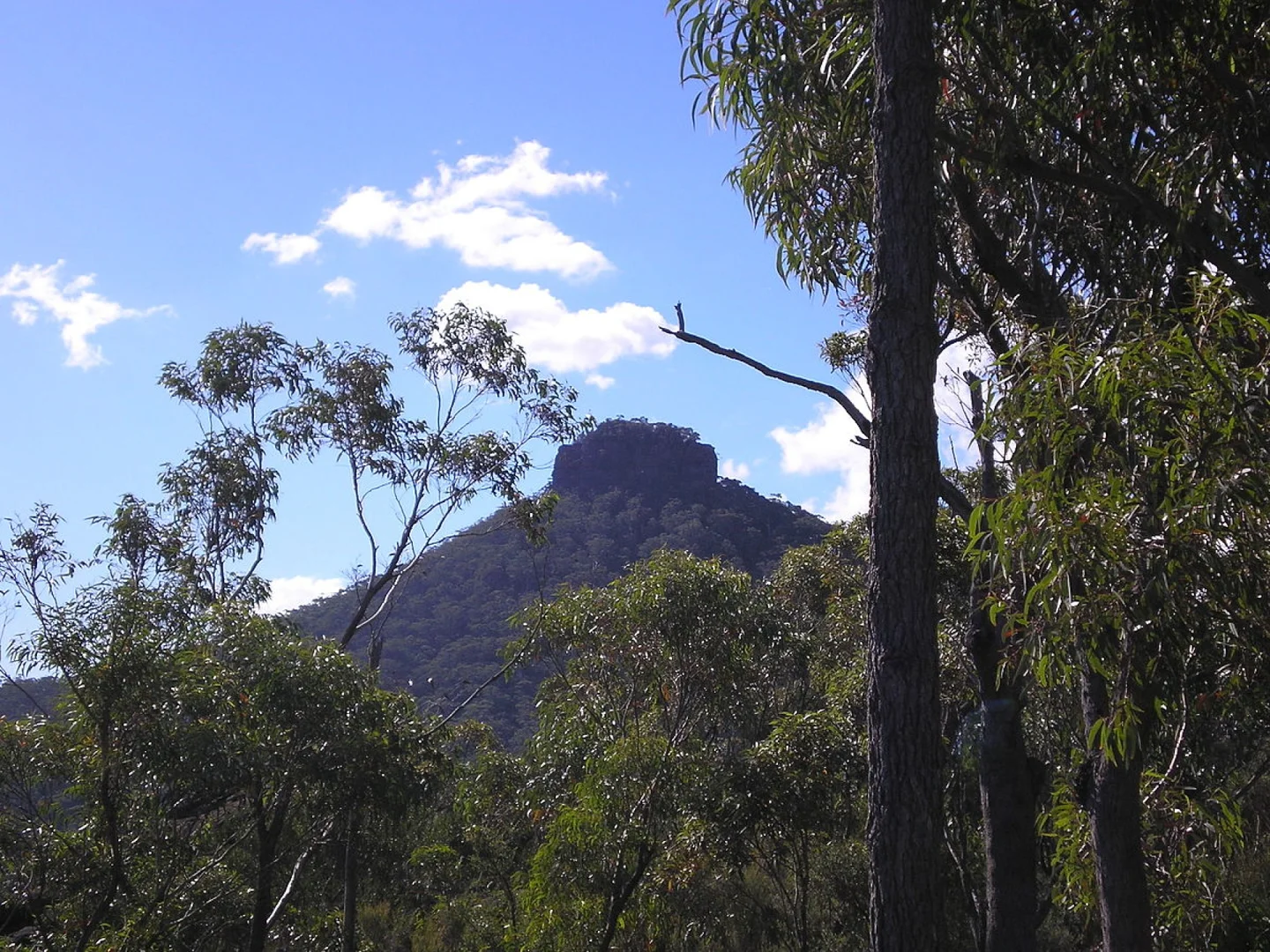 Additional image 20 of 3 Little Valley Way, Little Forest NSW 2538