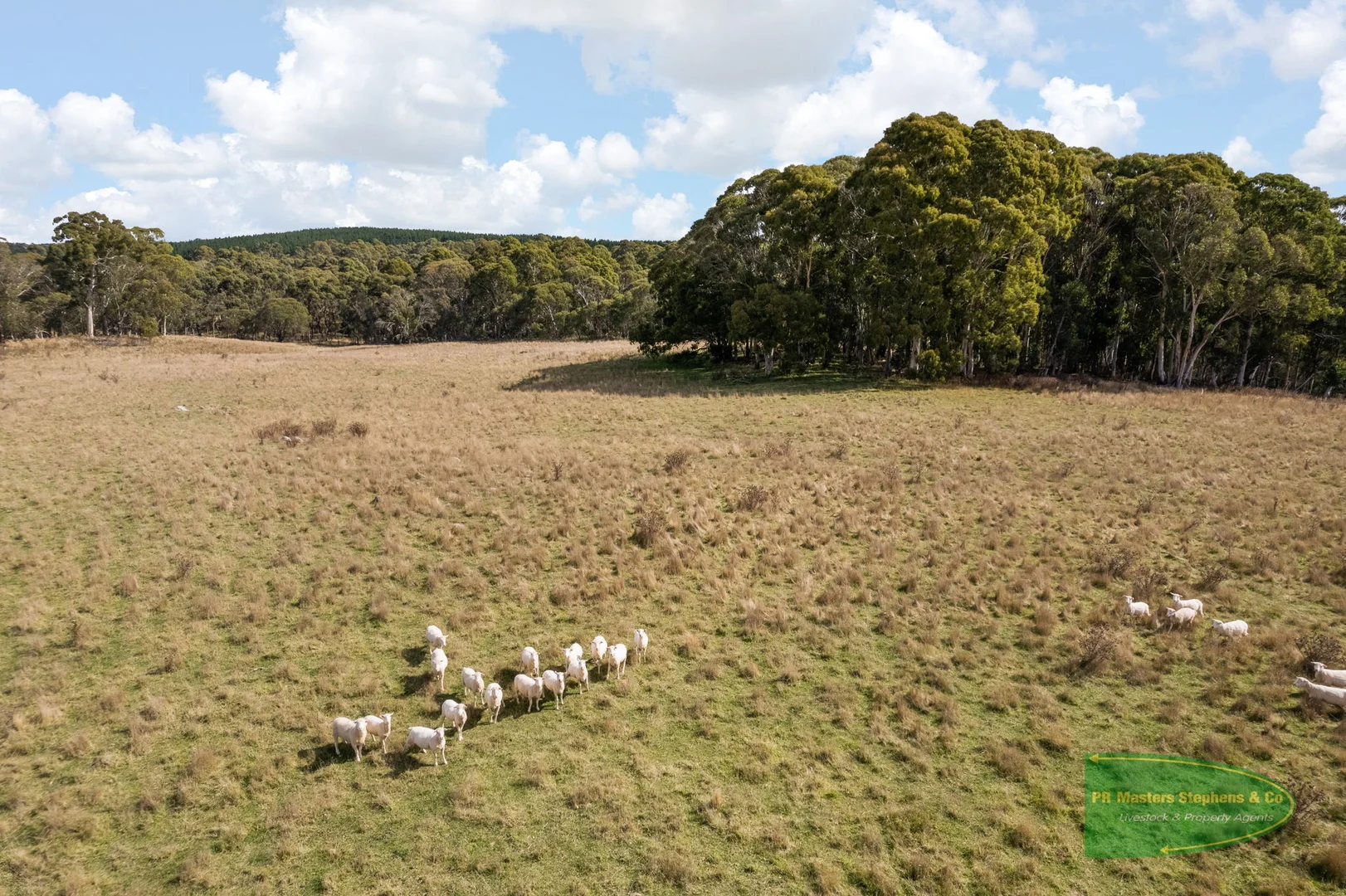 Additional image 52 of 800 Riverview Forest Road, Mozart NSW 2787