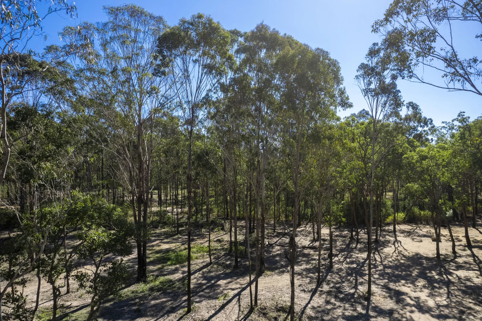 Additional image 20 of 151 Cameron Road, Taromeo QLD 4314