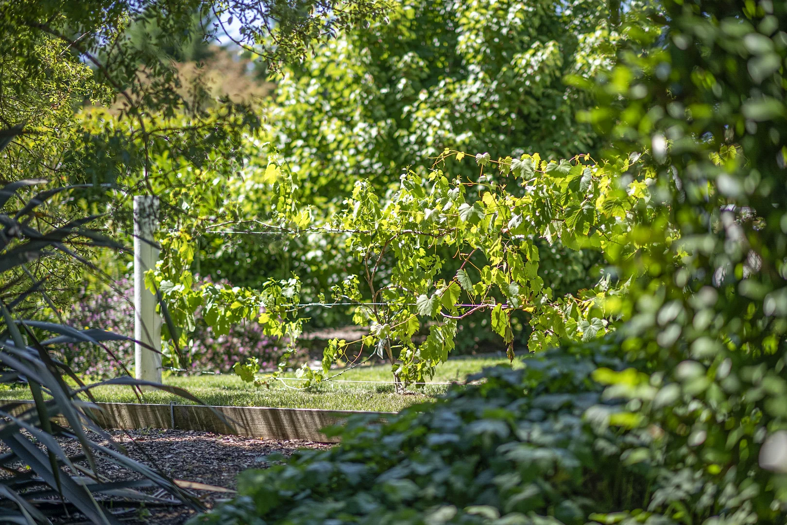 Additional image 20 of 42 Conflict Street, Sutton Forest NSW 2577