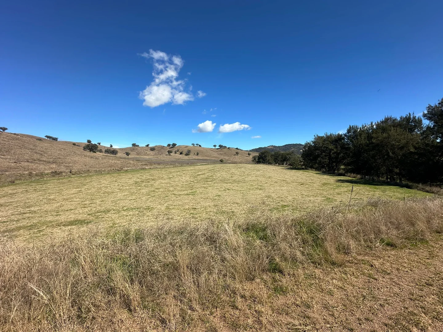 Additional image 15 of 2991 Halls Creek Road, Halls Creek NSW 2346