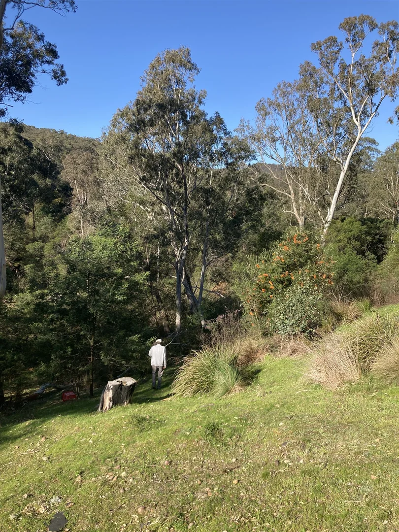 Additional image 18 of 138 Elliot Road, Valencia Creek VIC 3860