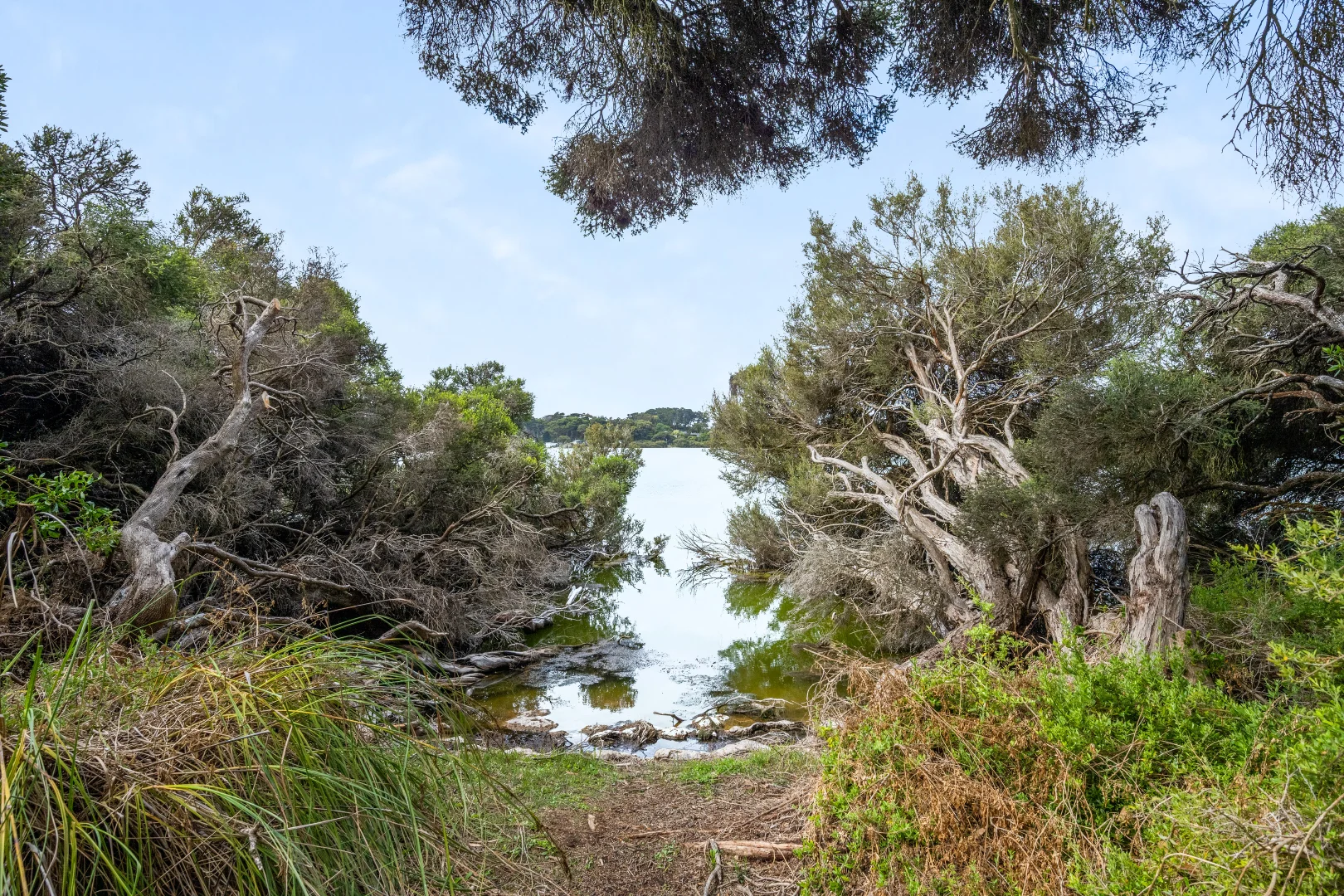 Additional image 22 of 8 Woolundry Rd, Robe SA 5276