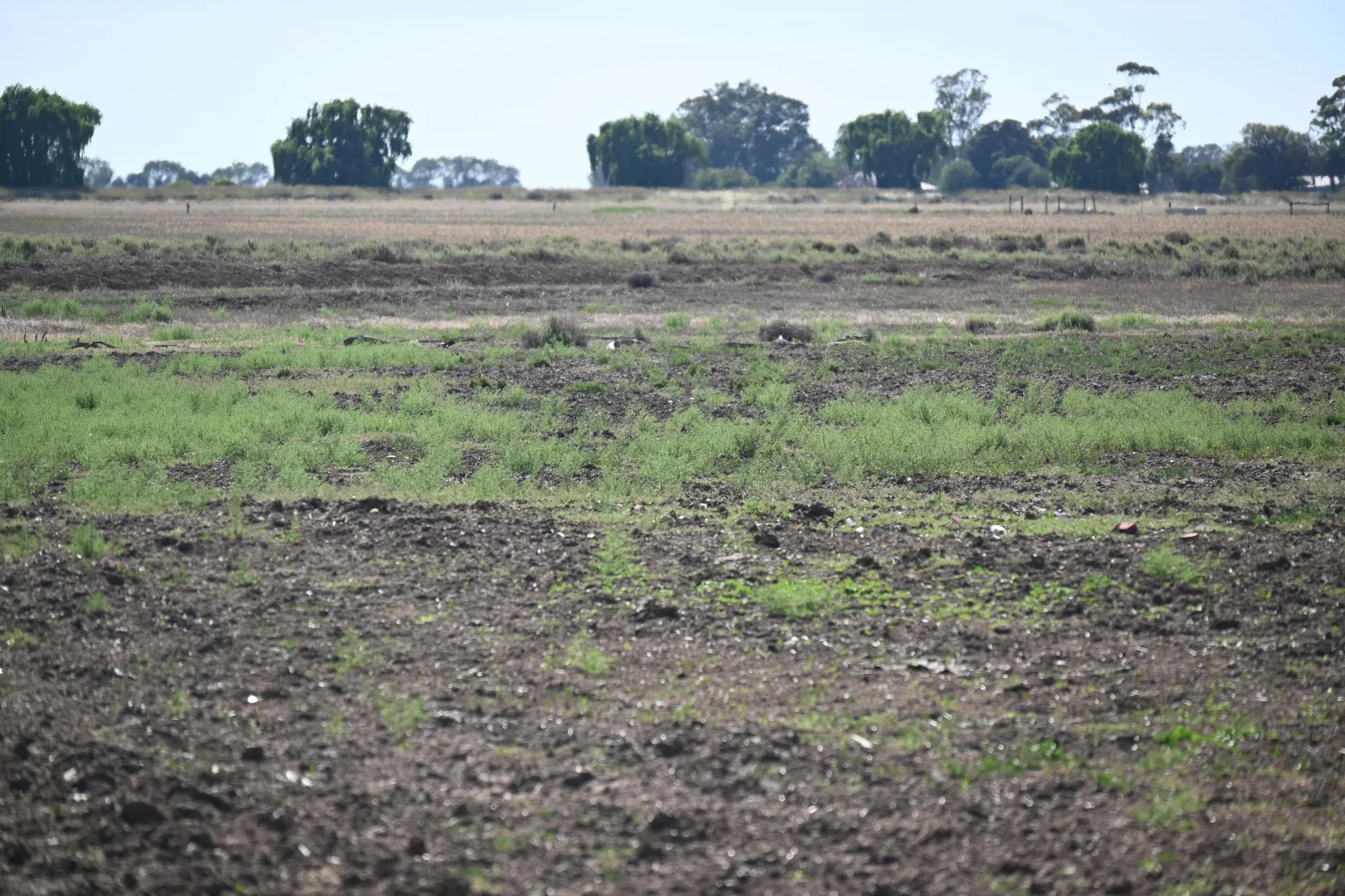 Additional image 40 of 594 Tragowel Road, Tragowel VIC 3579