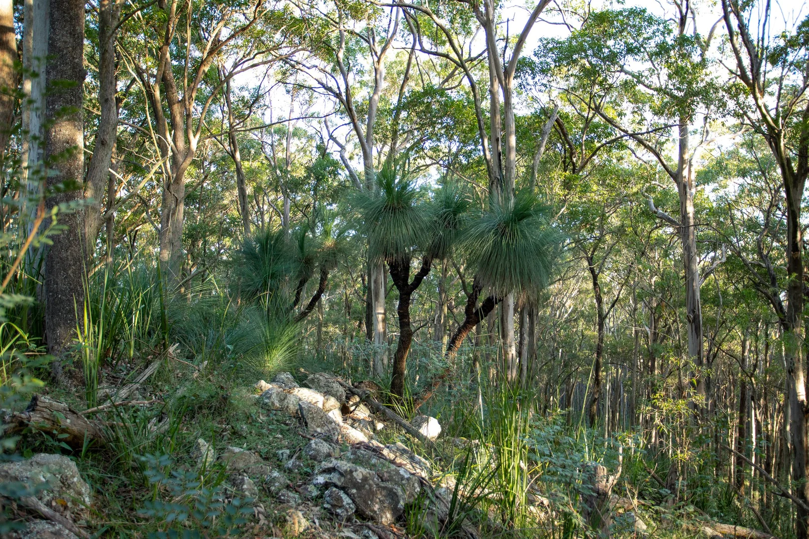 Additional image 8 of 706 MOONABUNG ROAD, Vacy NSW 2421