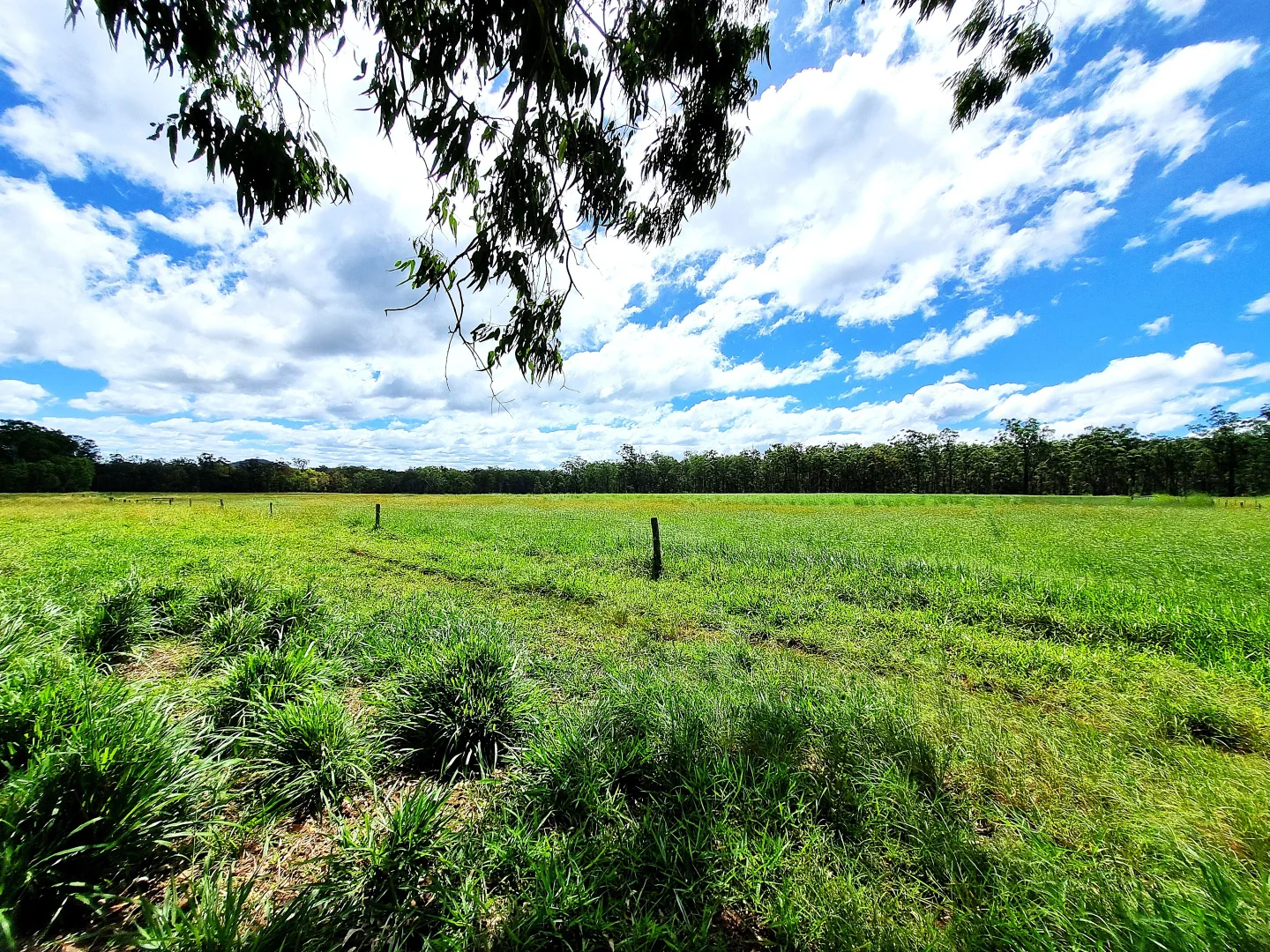 Additional image 20 of Wondecla QLD 4887