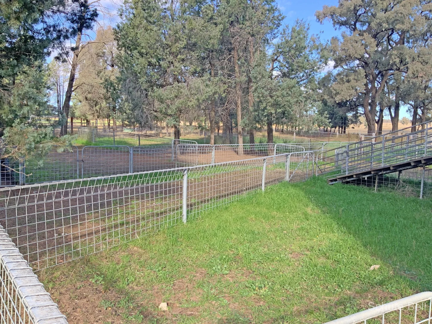 Additional image 13 of 71R Maiala Rd, Eumungerie NSW 2822