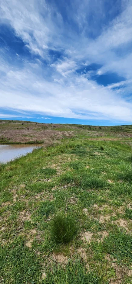 Additional image 6 of Lot 2, 175 Pomeroy Mill Ford Rd, Mummel NSW 2580