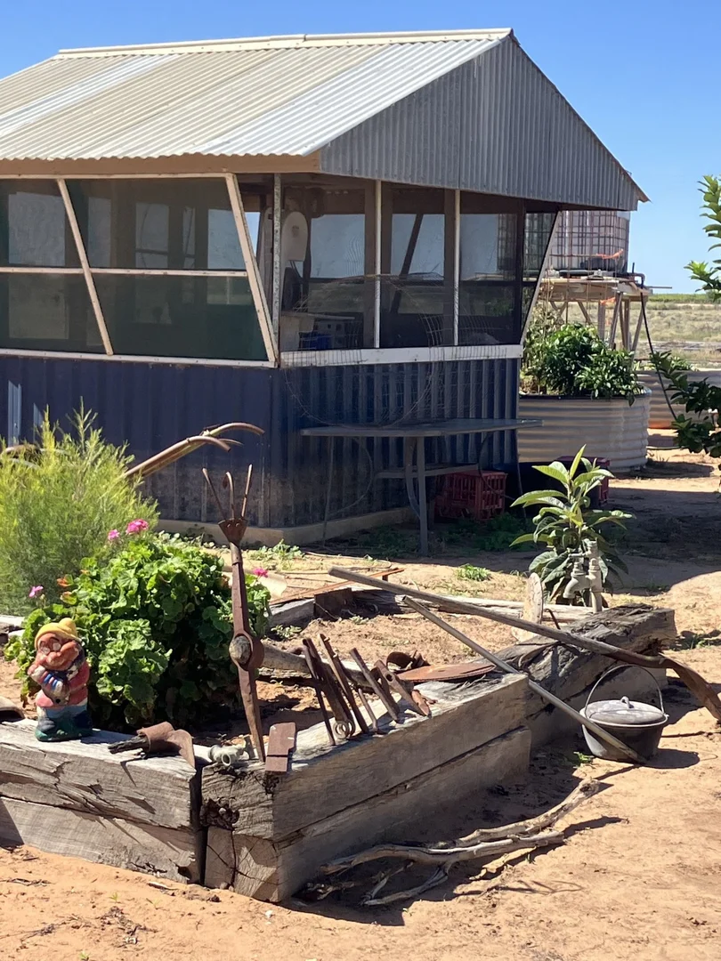 Additional image 3 of 123 Budgie Street, Menindee NSW 2879