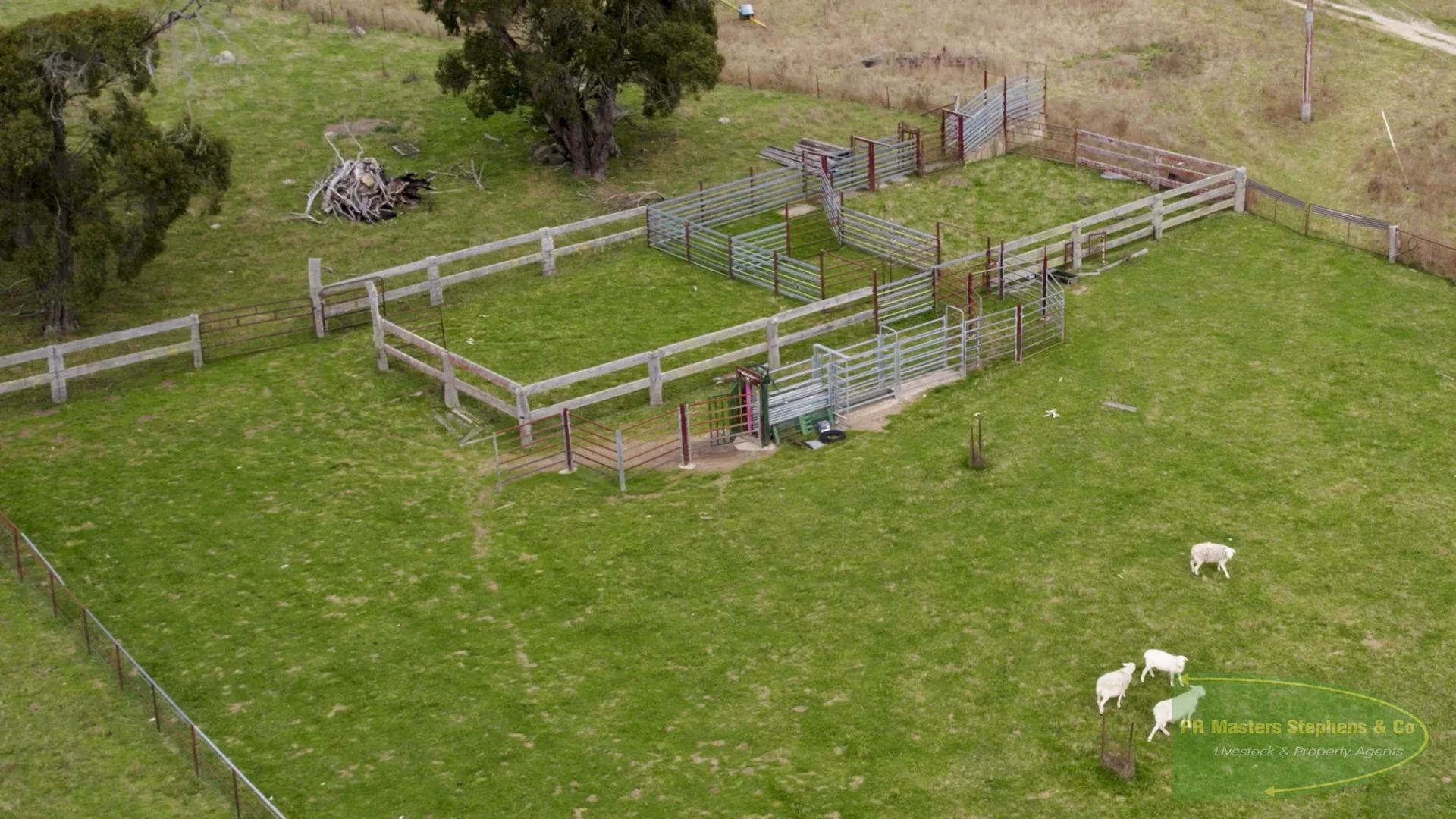 Additional image 27 of 800 Riverview Forest Road, Mozart NSW 2787