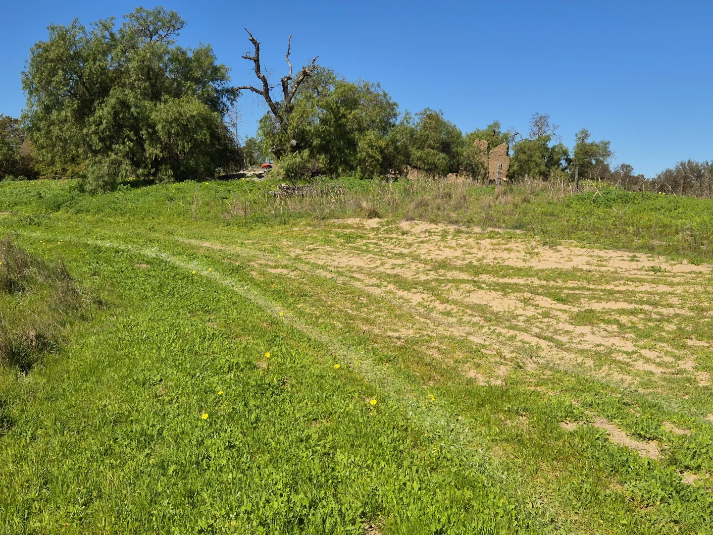 Additional image 21 of 190 Flourmill Cove, Cowalla WA 6503