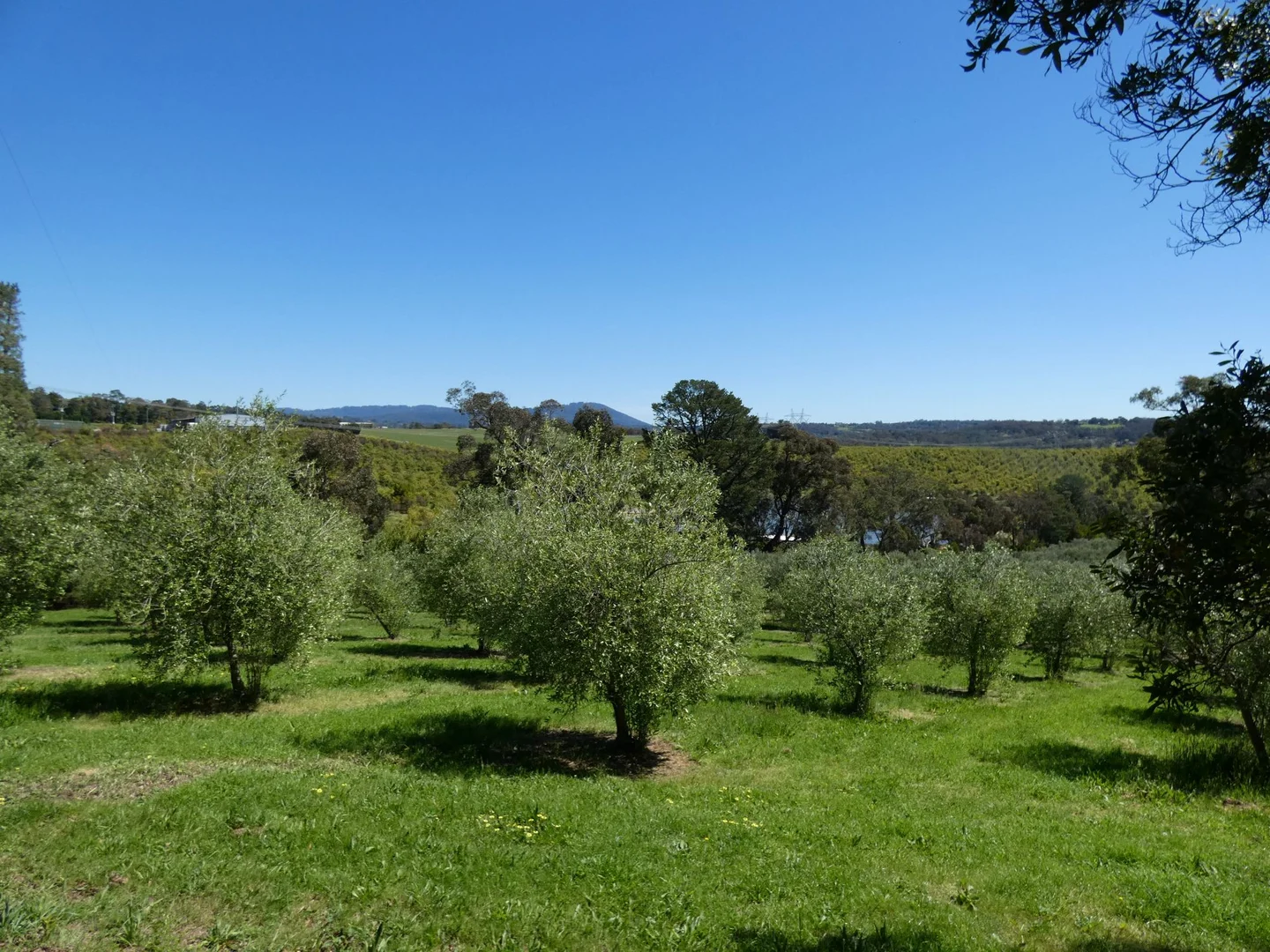 Additional image 23 of 21 Gruyere Road, Gruyere VIC 3770