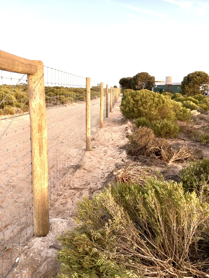 Additional image 7 of 2285 Coorabie Road, Fowlers Bay SA 5690