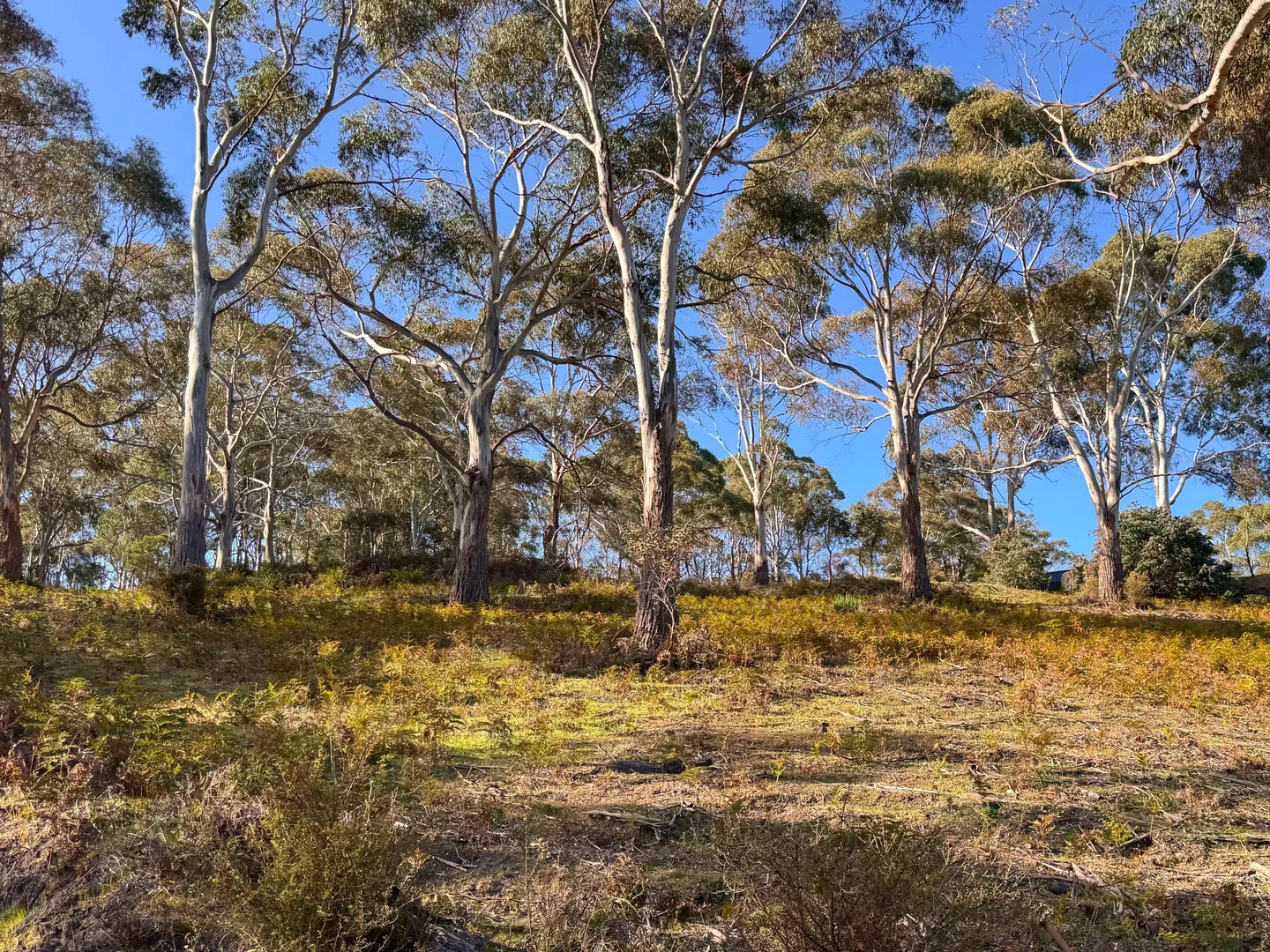 Additional image 11 of 26 Kandara Court, Campania TAS 7026