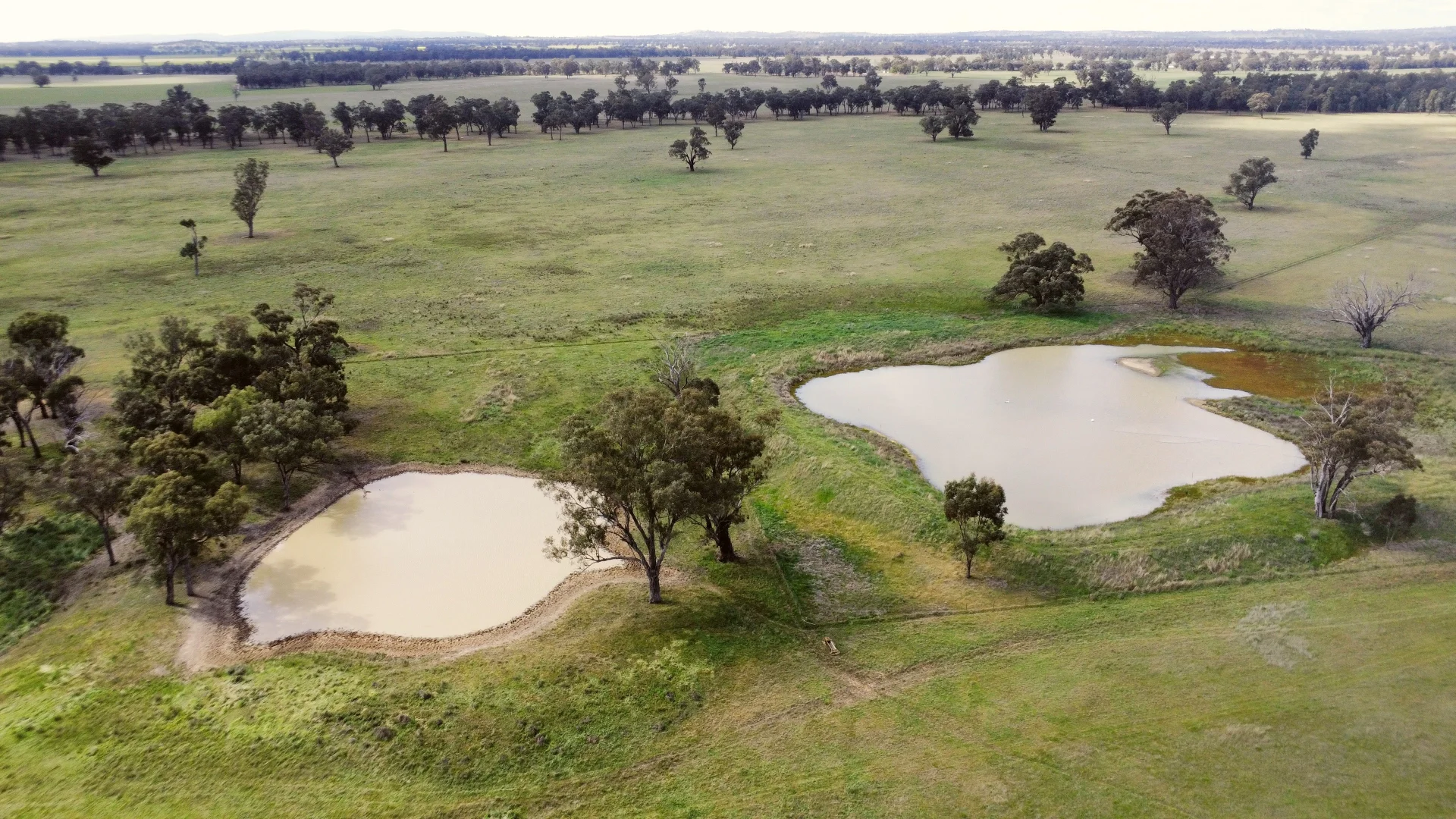 Additional image 5 of 1843 Yeo Yeo Hampstead Road, Young NSW 2594