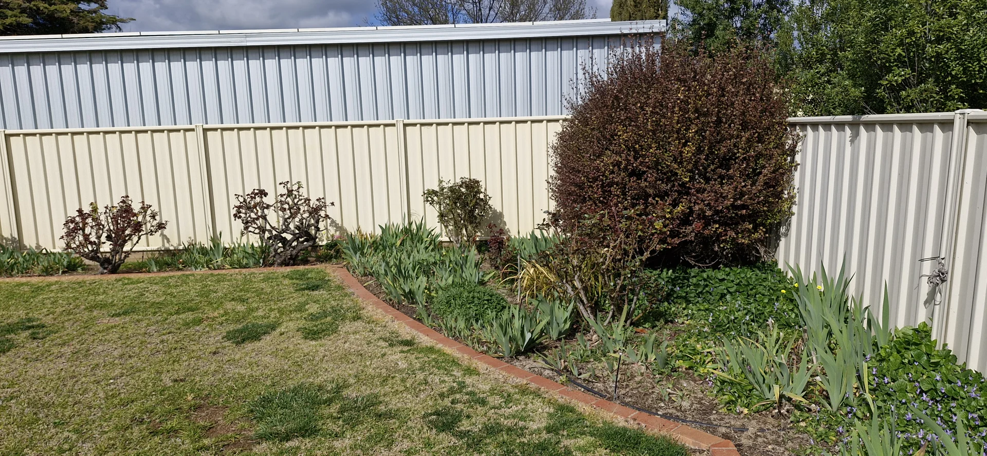 Additional image 29 of 20 Hopetoun Street, Rochester VIC 3561