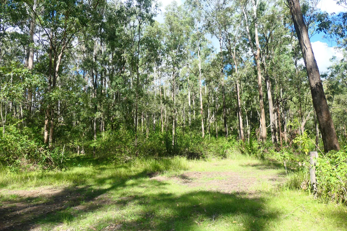 Additional image 8 of 146 Mills Road, Bean Creek NSW 2469