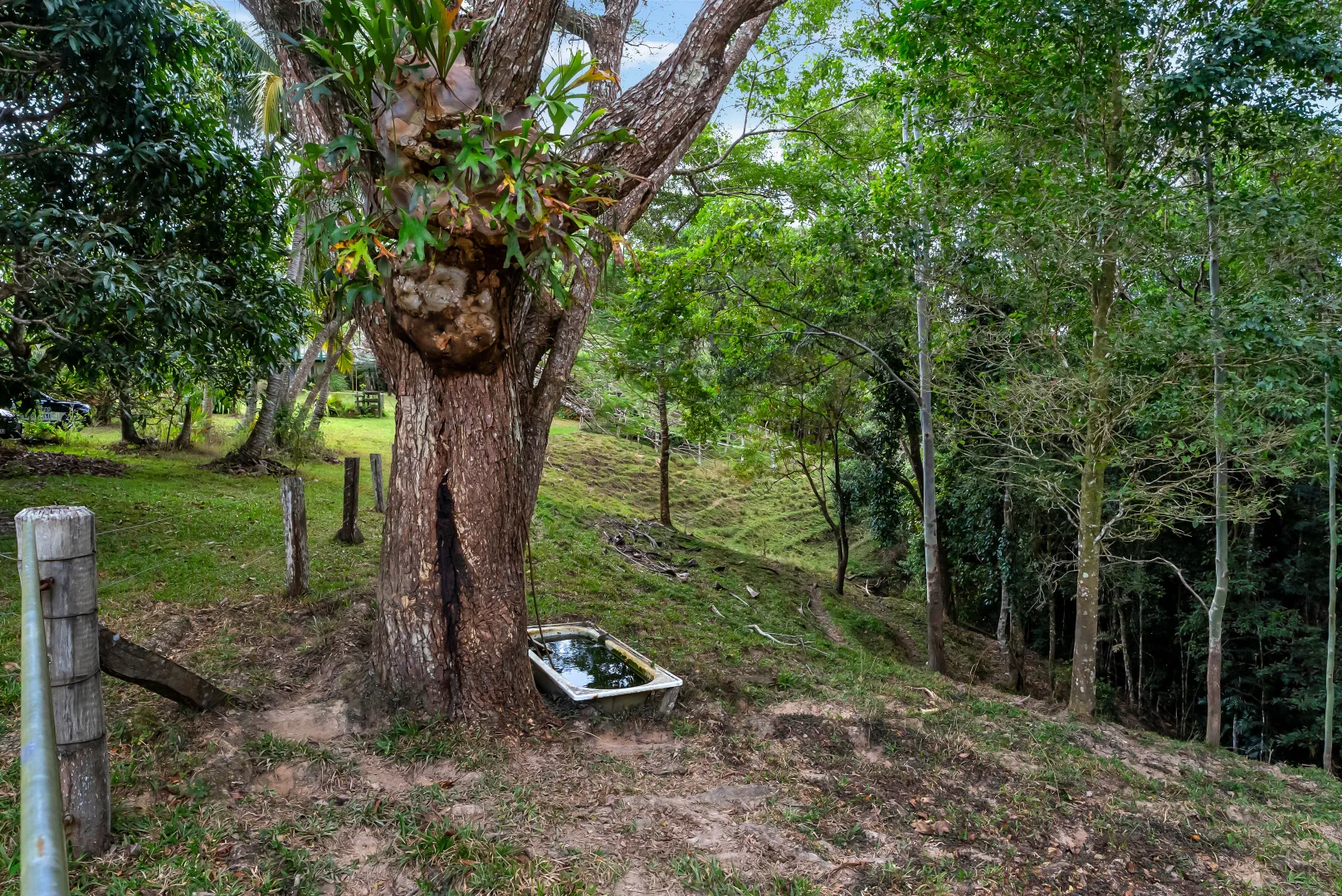 Additional image 8 of 53 Edward Elgar Close, Speewah QLD 4881