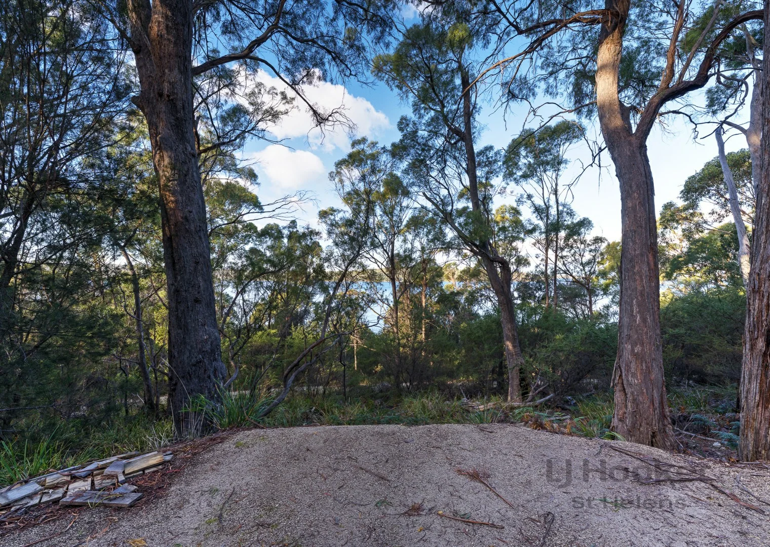 Additional image 7 of 367 Binalong Bay Road, St Helens TAS 7216