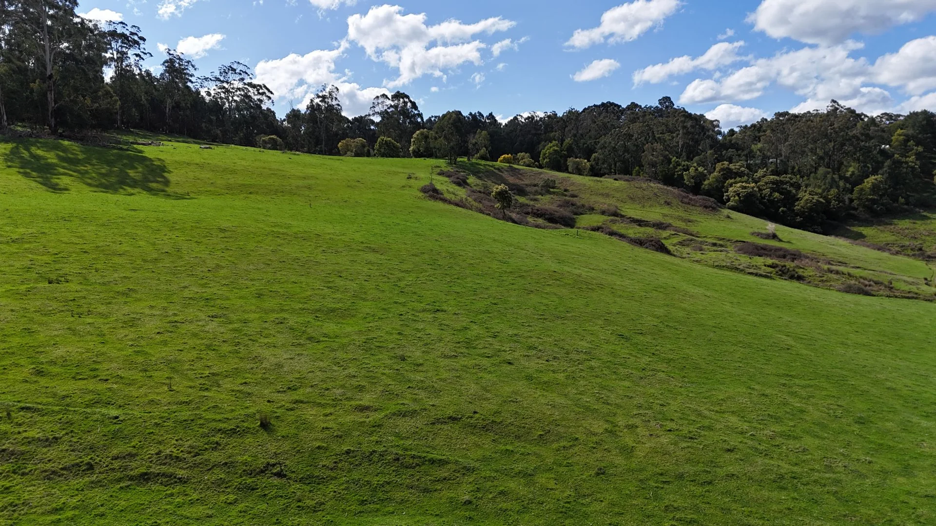 Additional image 3 of 141 BUNDERRA DRIVE, Boolarra VIC 3870