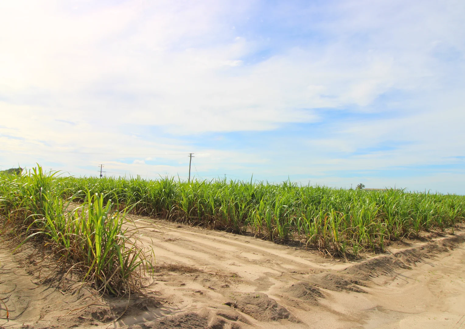 Additional image 8 of Lot 2 Barazzas Road, Alloway QLD 4670