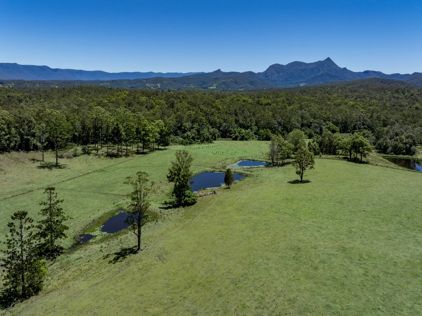 Additional image 8 of 148 Pine Log Road, Doon Doon NSW 2484