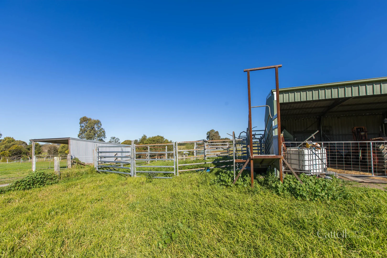 Additional image 15 of 126 Glenarvon Road, Lorn NSW 2320