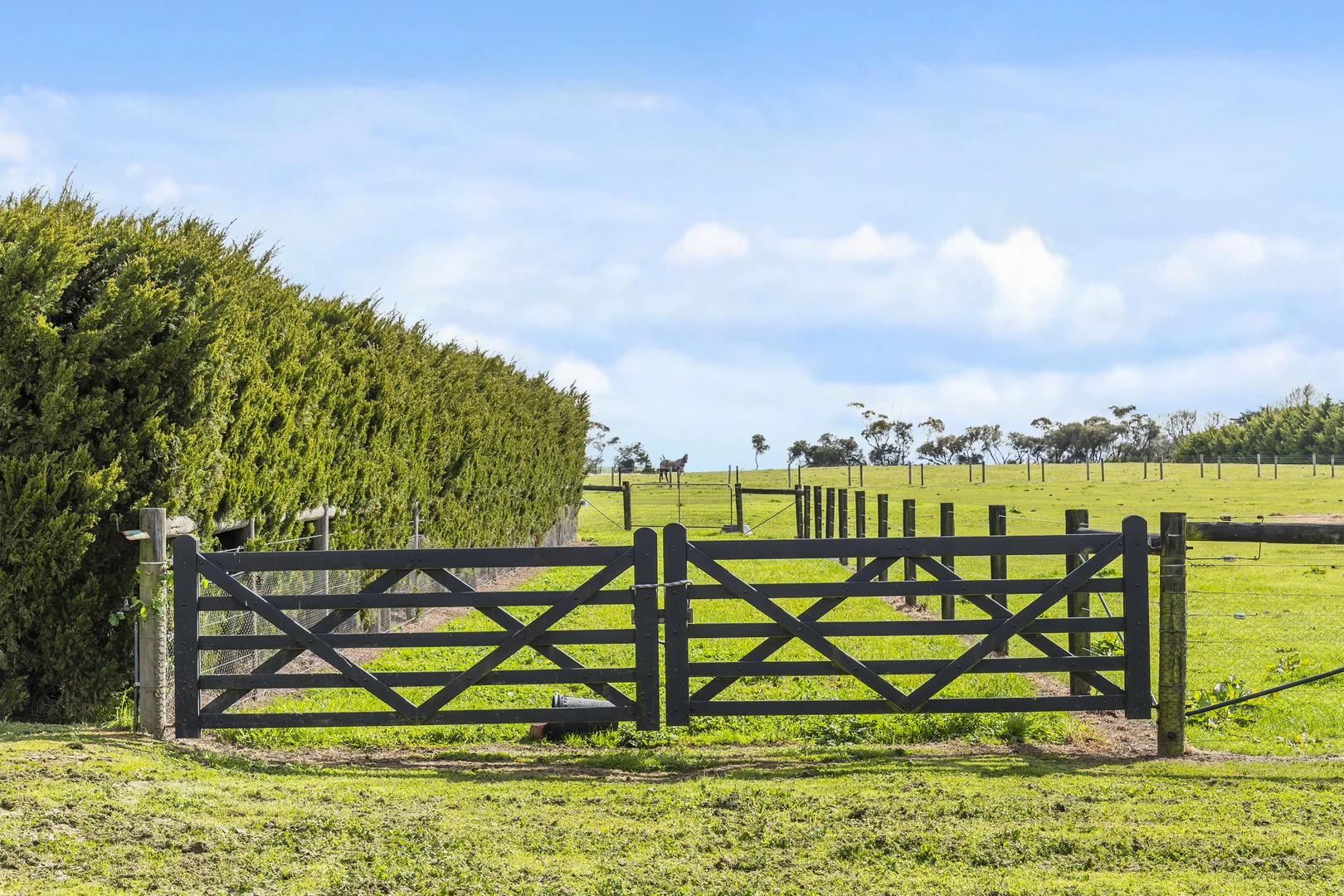 Additional image 21 of 3119 Melbourne-Lancefield Road, Romsey VIC 3434