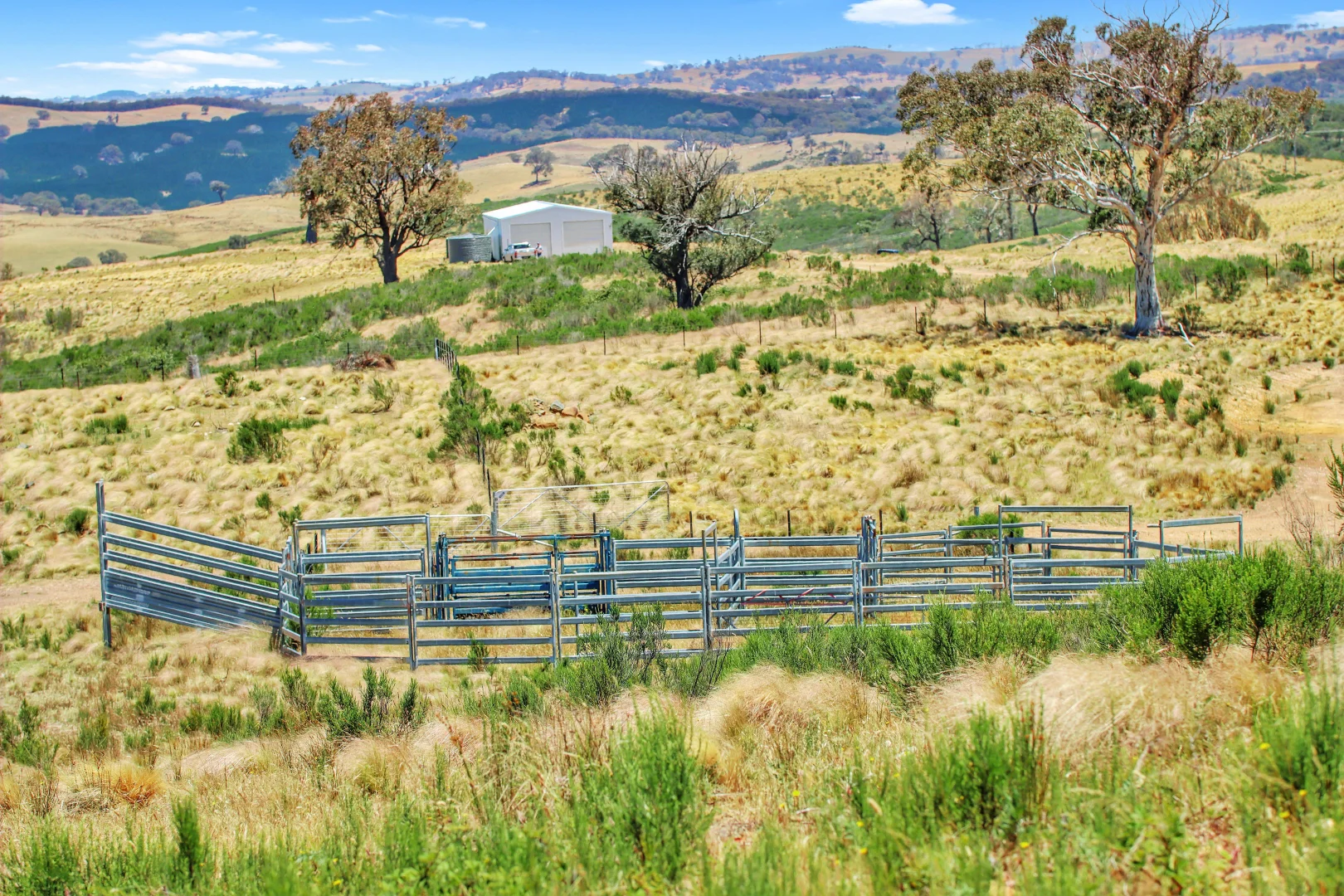 Additional image 6 of 386 Williamsons Road, Lewis Ponds NSW 2800