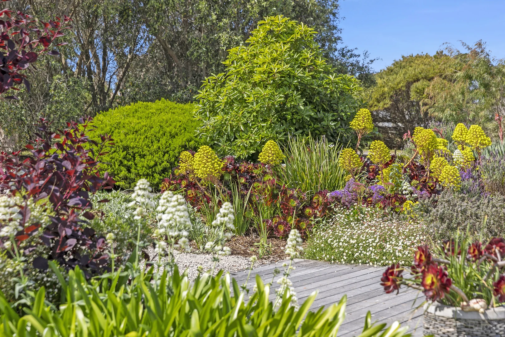 Additional image 23 of 2140 Bellarine Highway, Point Lonsdale VIC 3225