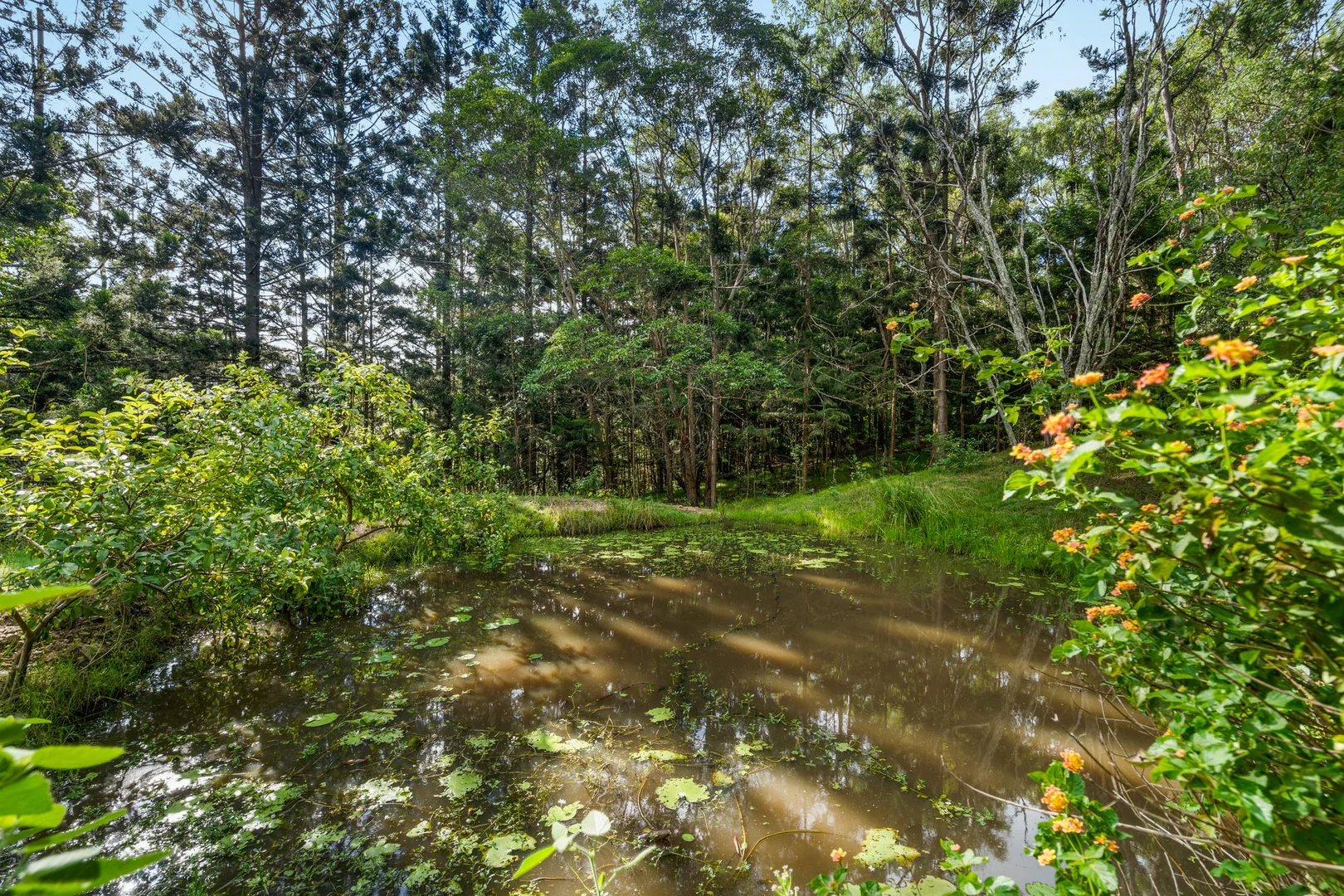 Additional image 22 of 169 Dunns Road, Wolffdene QLD 4207