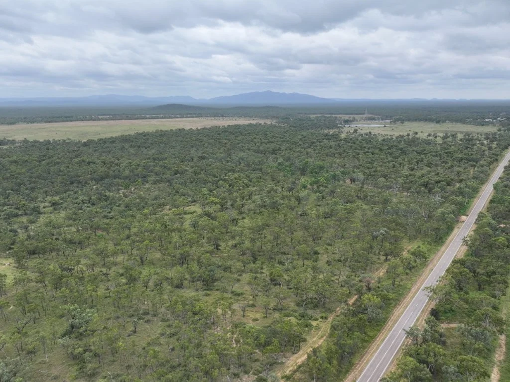 Additional image 20 of Cape River/22386 Flinders Highway, Pentland QLD 4816