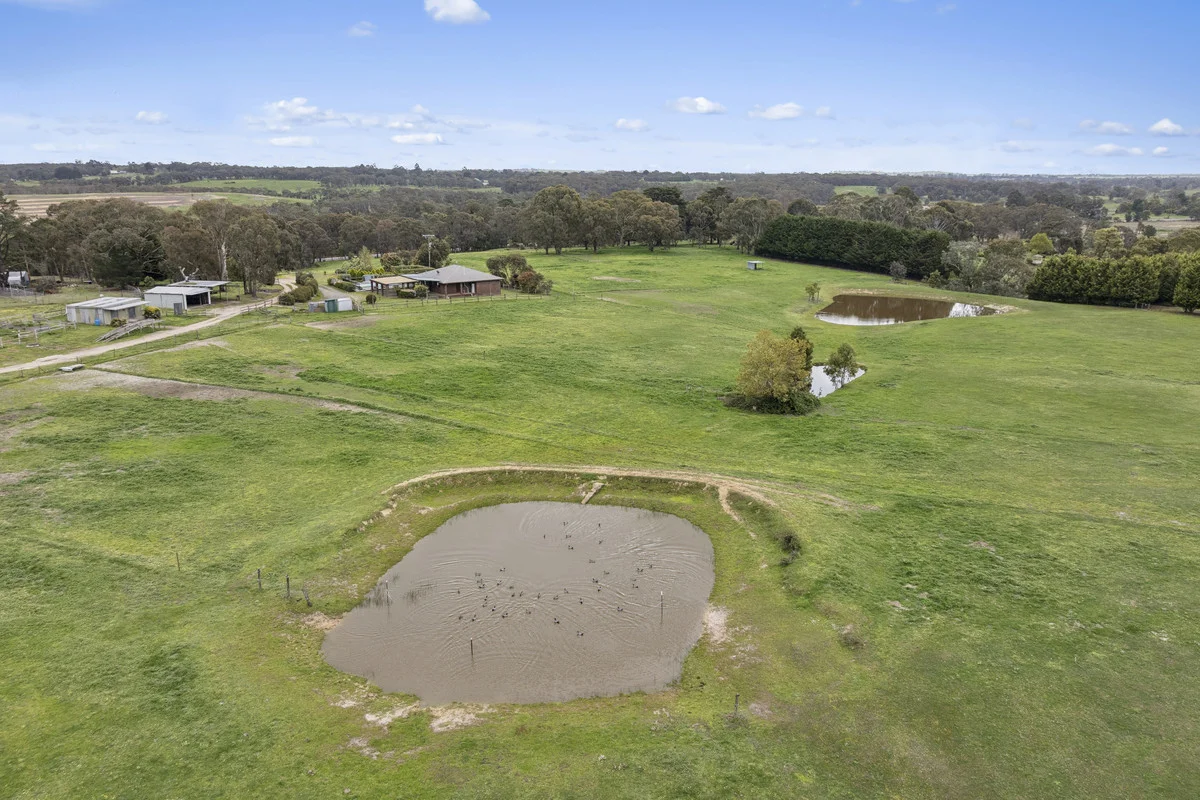 Additional image 16 of 1349 Glenelg Highway, Smythesdale VIC 3351