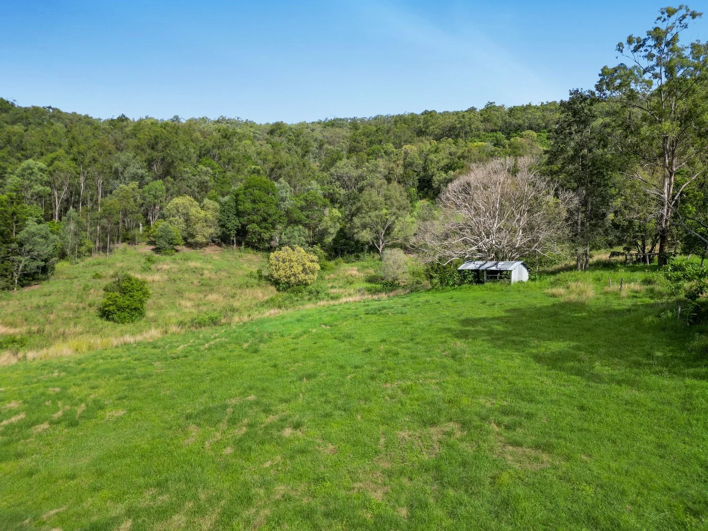 169 Dunns Road, Wolffdene QLD 4207