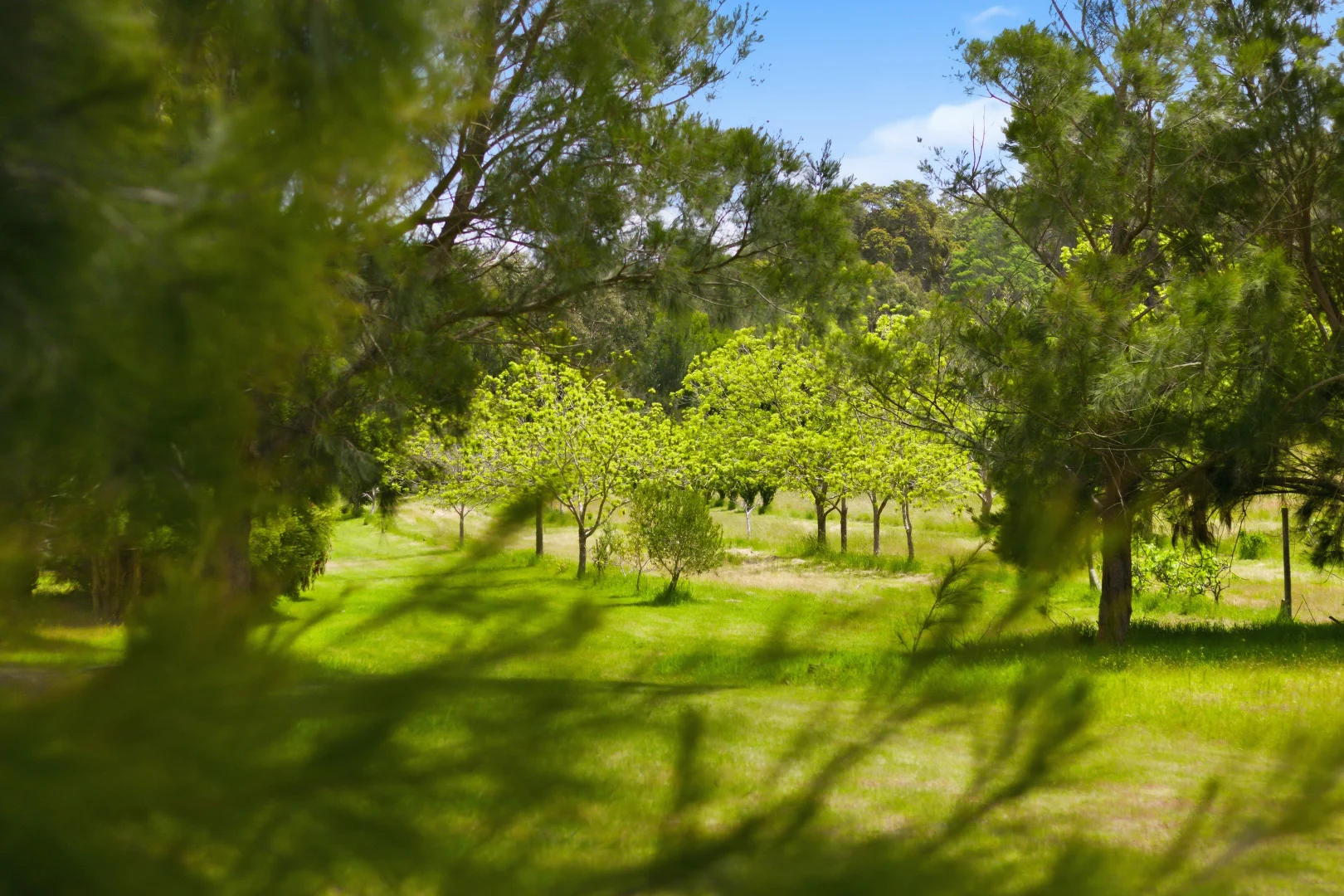 Additional image 25 of Lot PL 2/1120 Wildwood Road, Yallingup Siding WA 6282