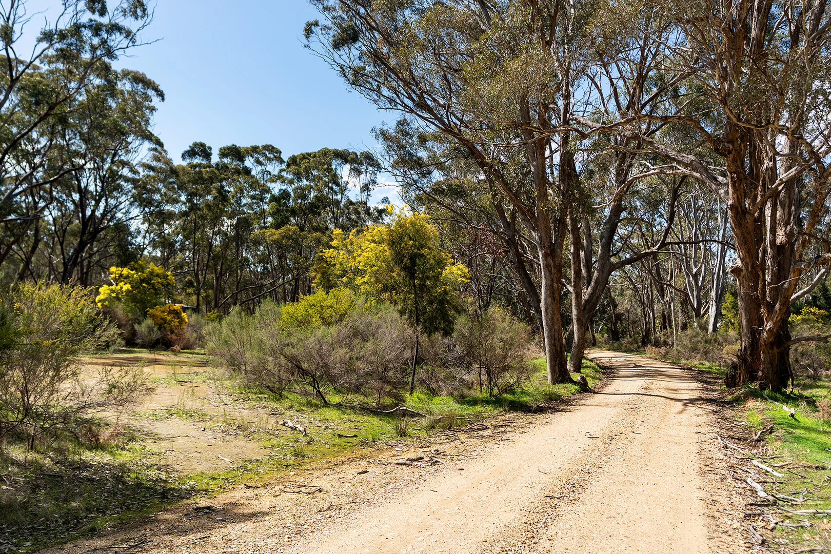 Additional image 12 of Porcupine Lane, Maldon VIC 3463