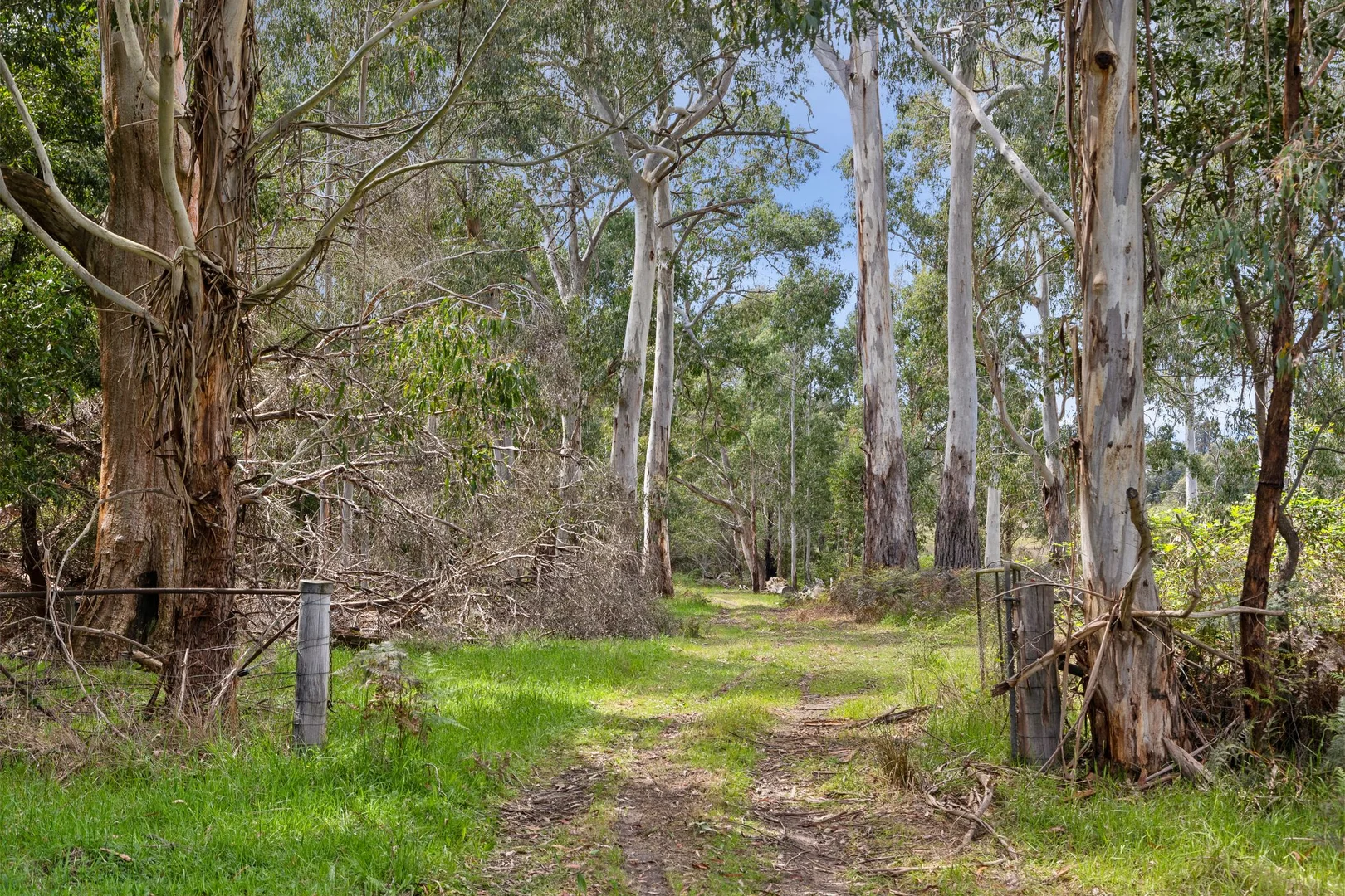 Additional image 2 of 21 Gullett Road, Glenburn VIC 3717