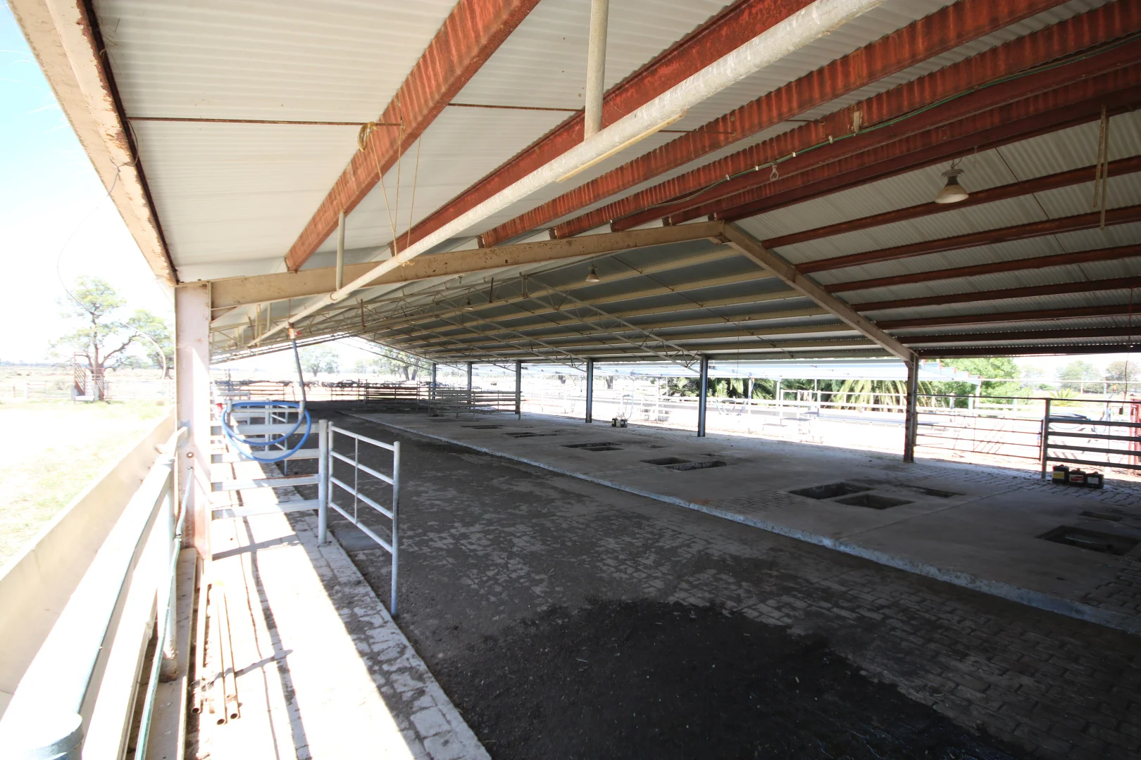 Additional image 19 of 614 Nullabooma Road, Wakool NSW 2710